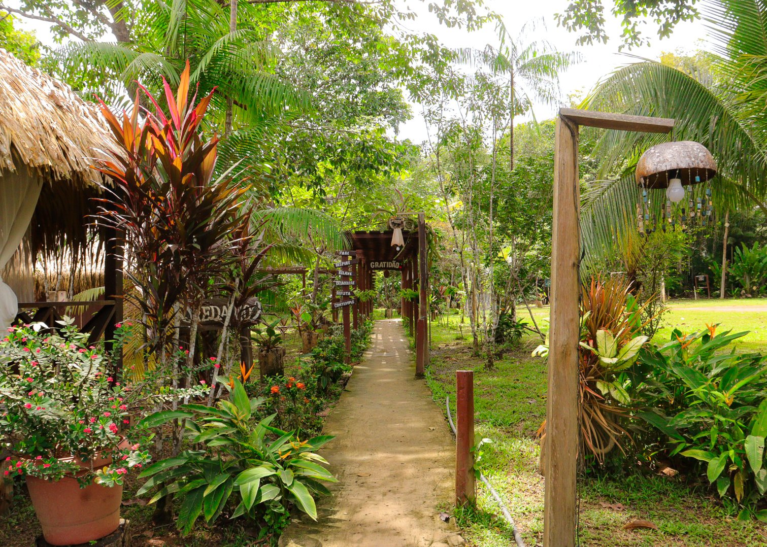 Gratitude signs overhead, bromeliads at your feet — the lodge garden sets the tone. A shaded dirt pathway lined with tropical plants, wooden post lamps, and thatched-roof structures leads through a lush jungle lodge garden on a manaus jungle tour