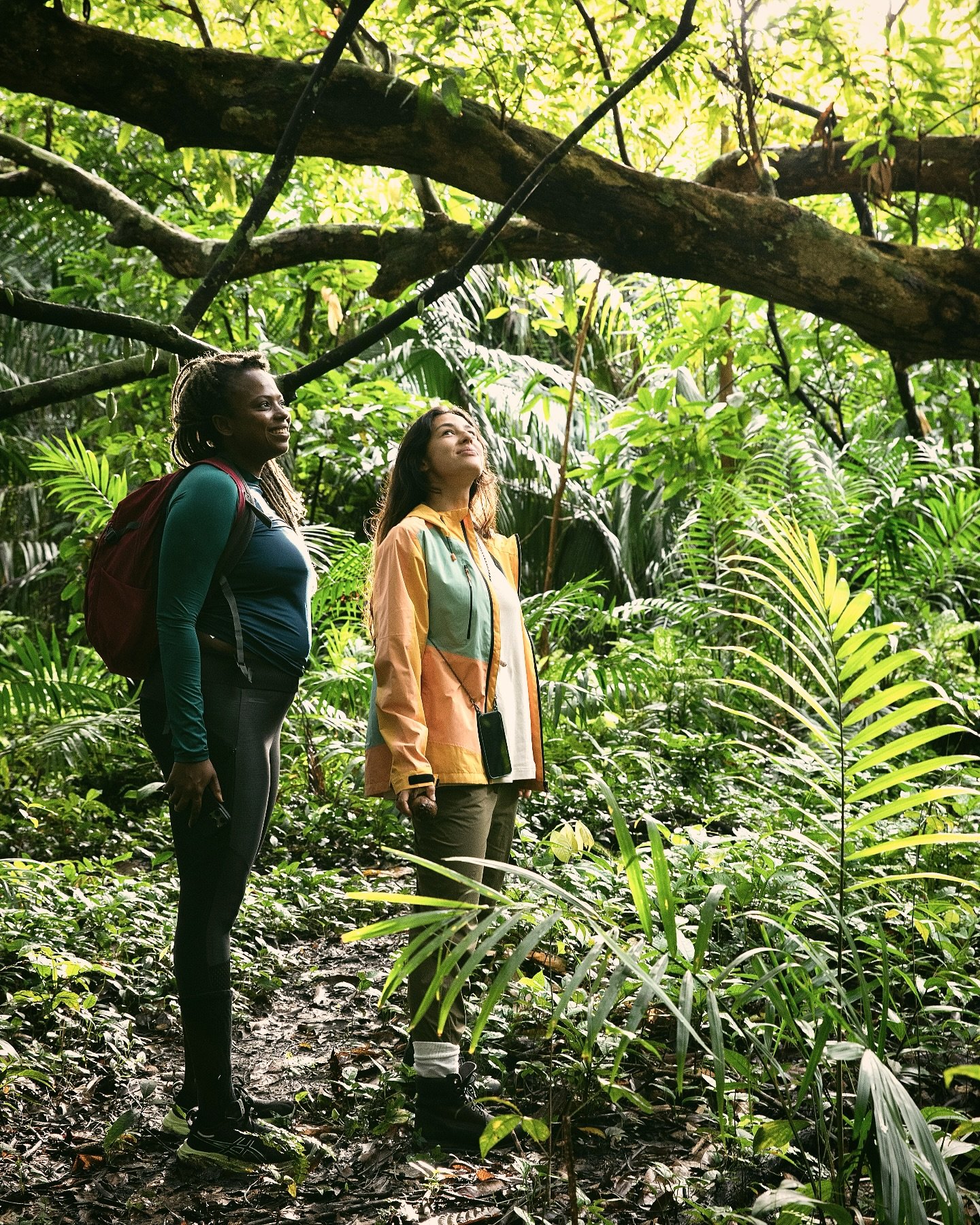 Duas mulheres param em uma trilha na floresta do Mirante do Gavião, contemplando a copa exuberante da floresta amazônica acima delas