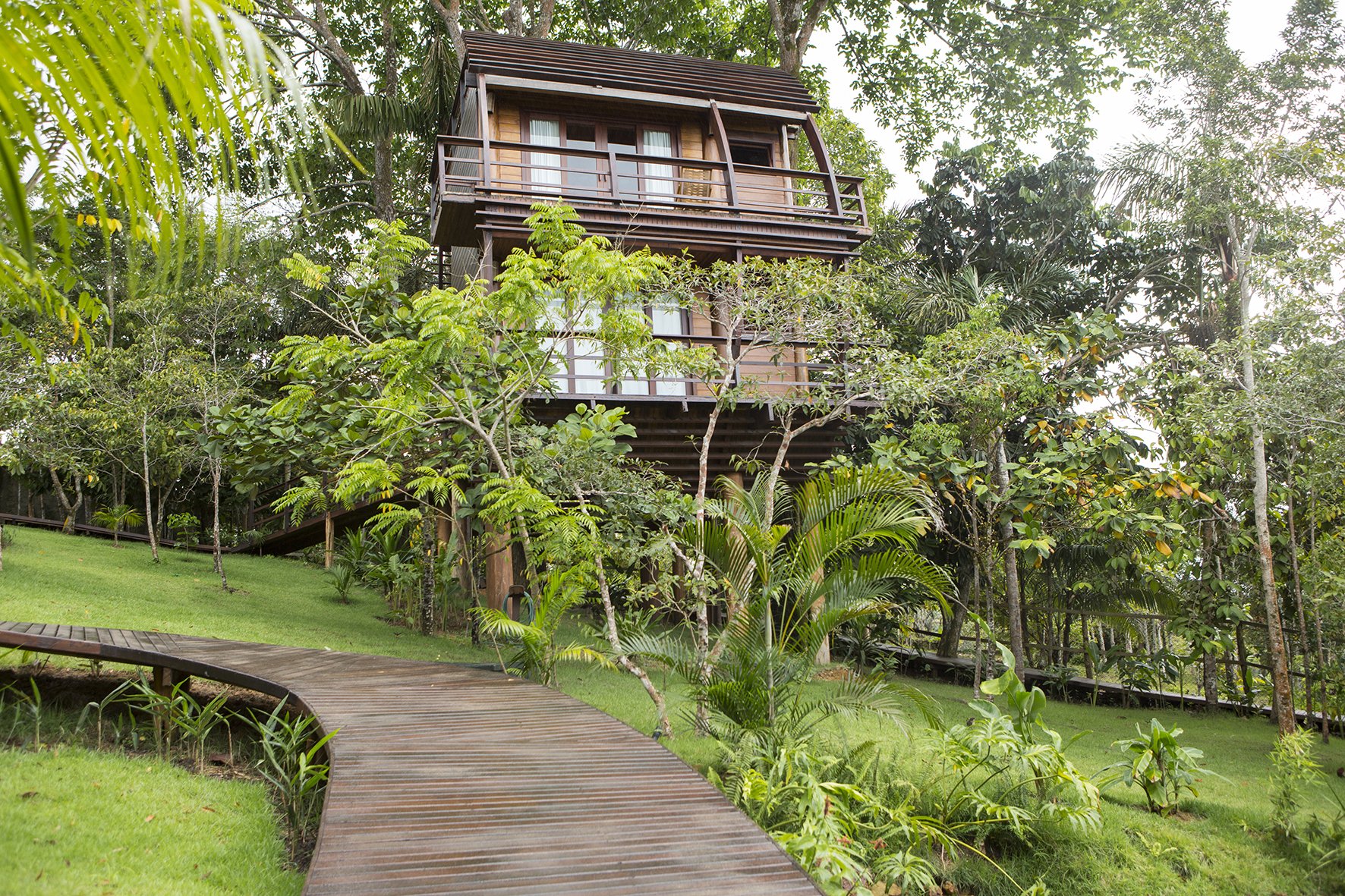 Um passadiço de madeira curvo atravessa a vegetação exuberante da Amazônia em direção à estrutura de madeira de vários andares do Mirante do Gavião, elevada entre as árvores