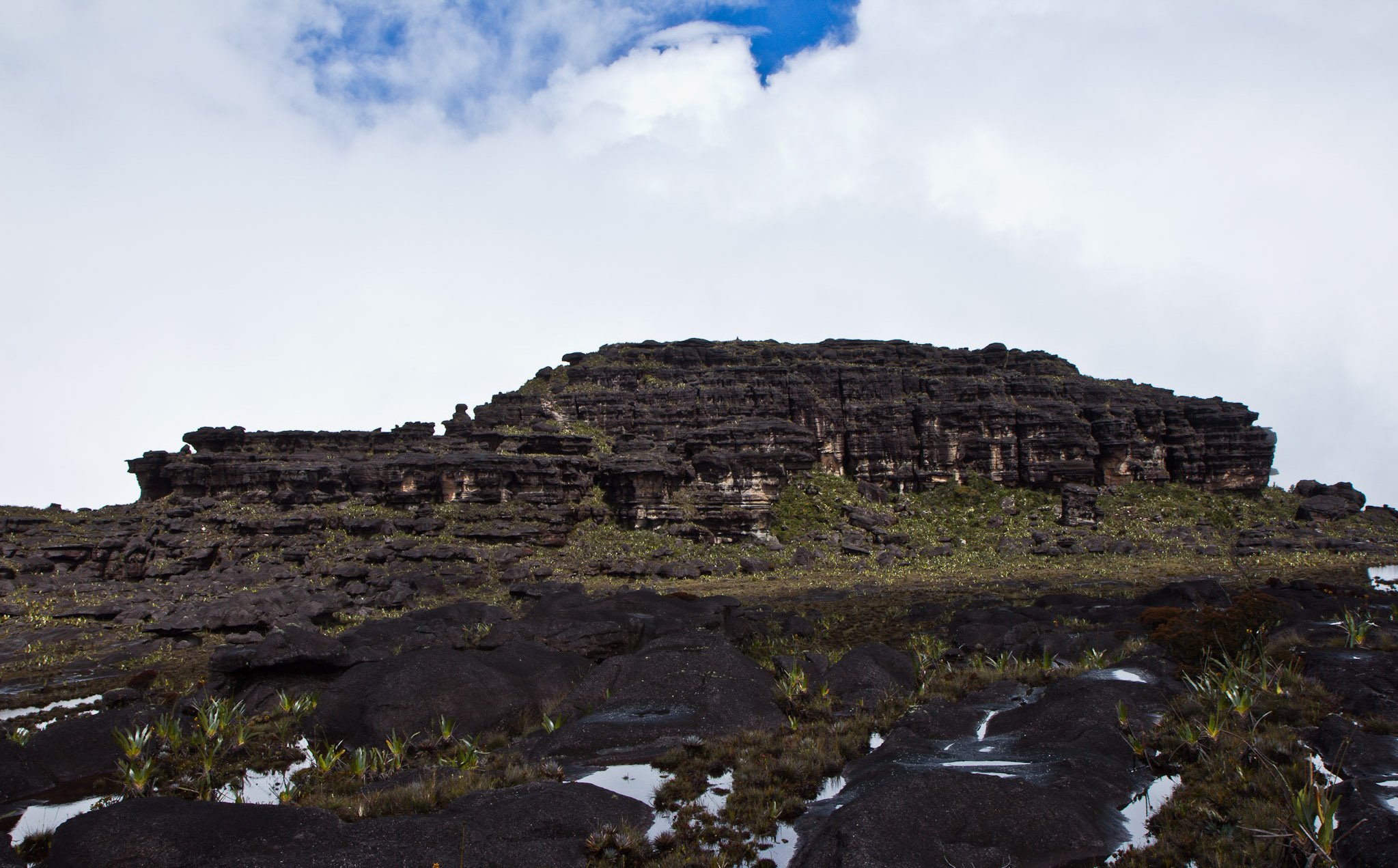 Layered black sandstone cliffs rise steeply on the Mount Roraima hike, with sparse endemic plants and reflective puddles on the dark rock foreground