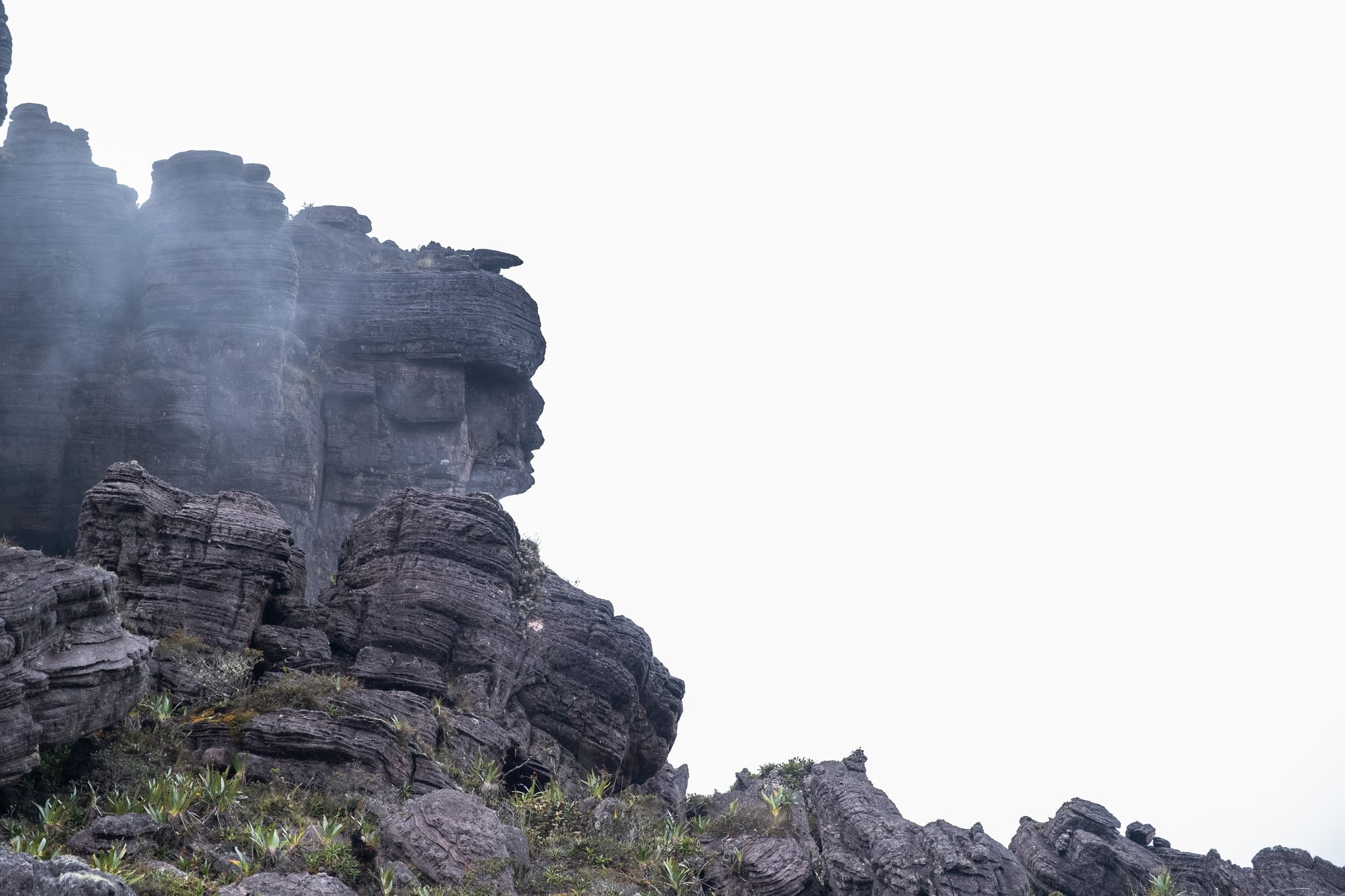 Layered ancient sandstone rock formations rising through mist on the Mount Roraima hike, with sparse bromeliad vegetation clinging to the lower ledges