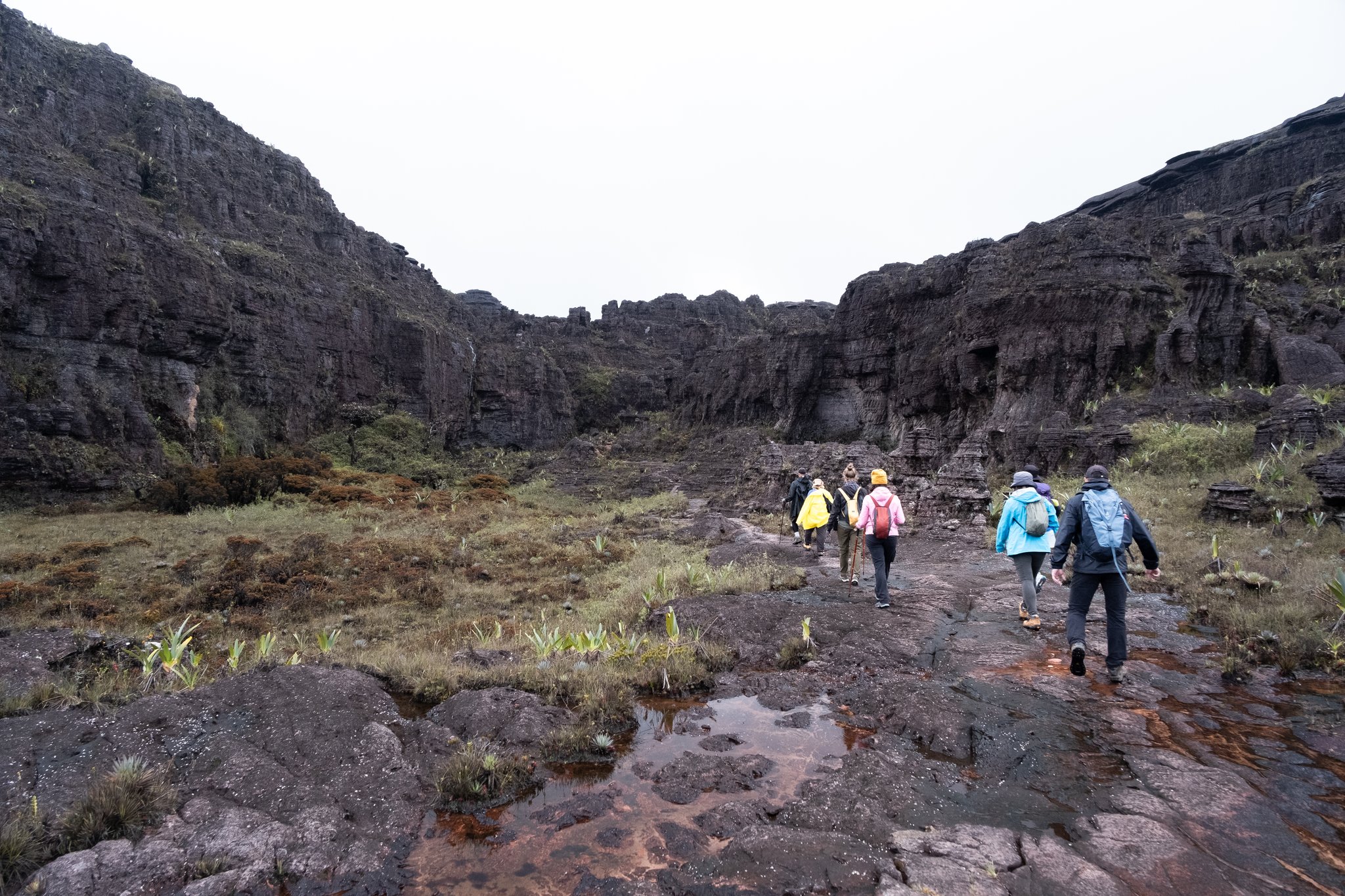 A group of trekkers in colorful rain gear crossing wet ancient tepui rock on a Mount Roraima hike, surrounded by towering dark sandstone canyon walls and sparse highland vegetation under an overcast sky