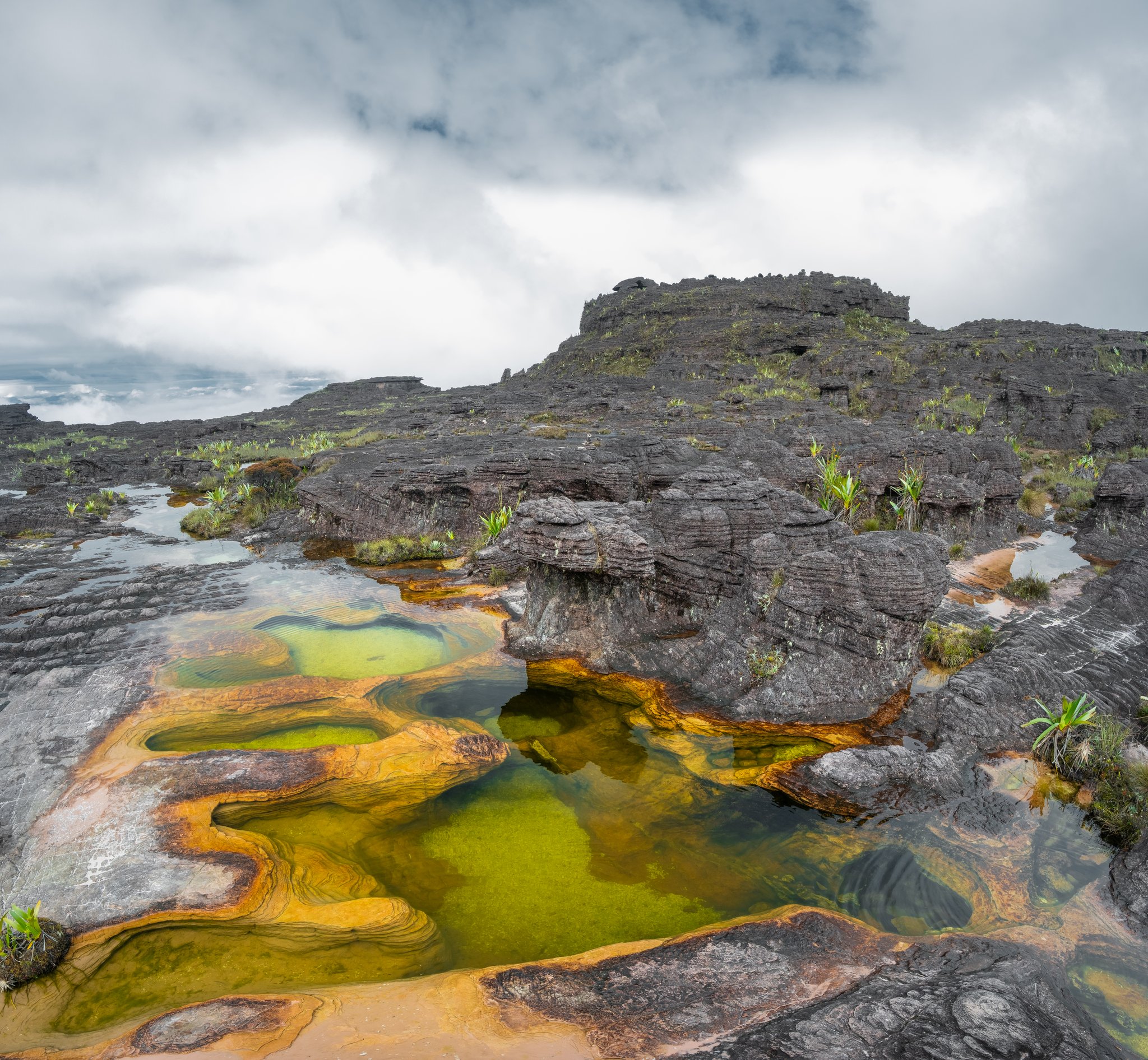 Vibrant green and amber-stained natural rock pools on the Mount Roraima trek summit plateau, with eroded black sandstone formations and low clouds rolling across the tepui landscape