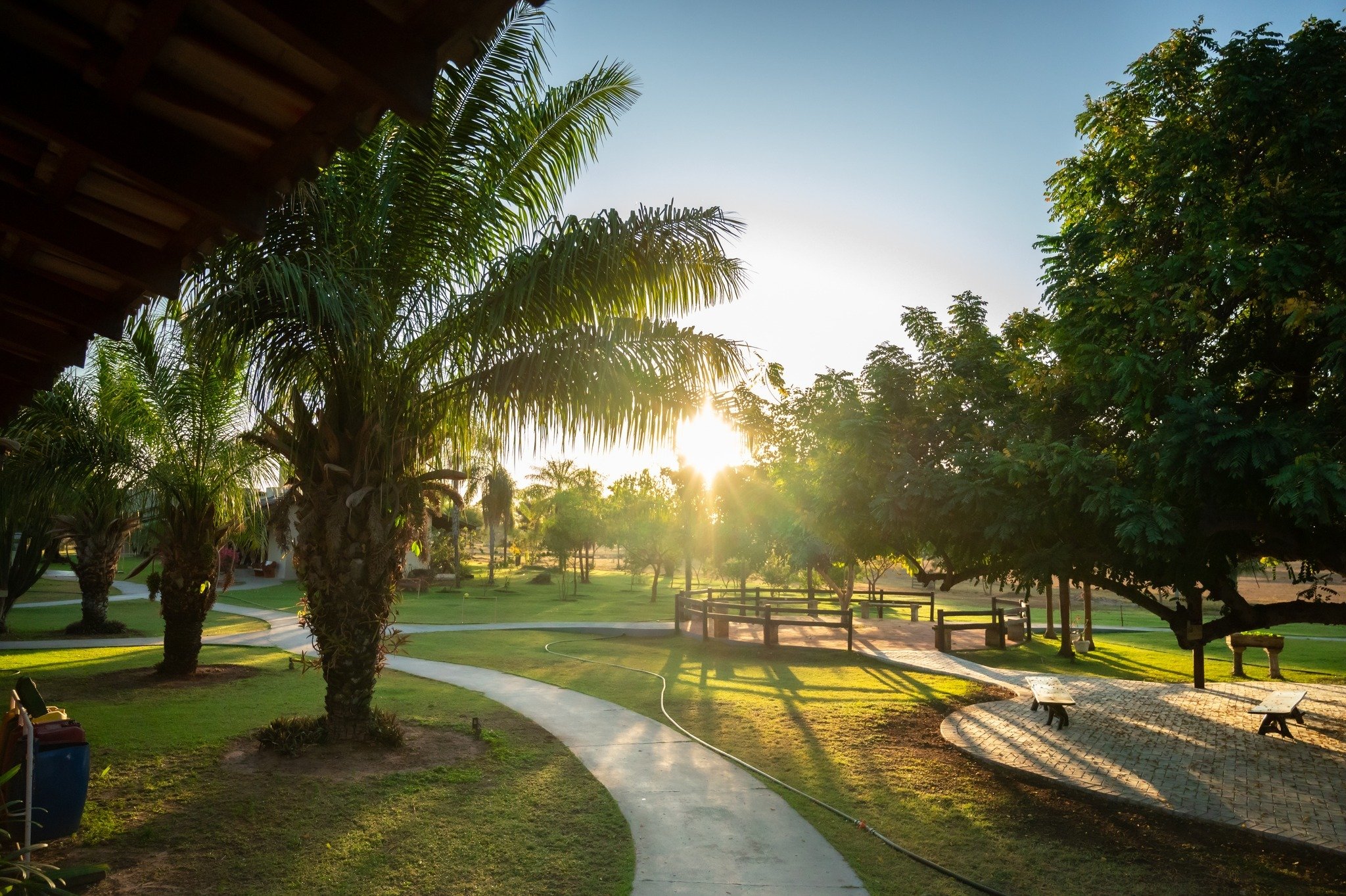 Golden hour spills across the lodge gardens — the Pantanal day is just beginning. Sun bursting through palm and tropical trees at golden hour over the manicured grounds of a Pantanal jaguar budget safari lodge, with a winding footpath and wooden fence lit by warm rays