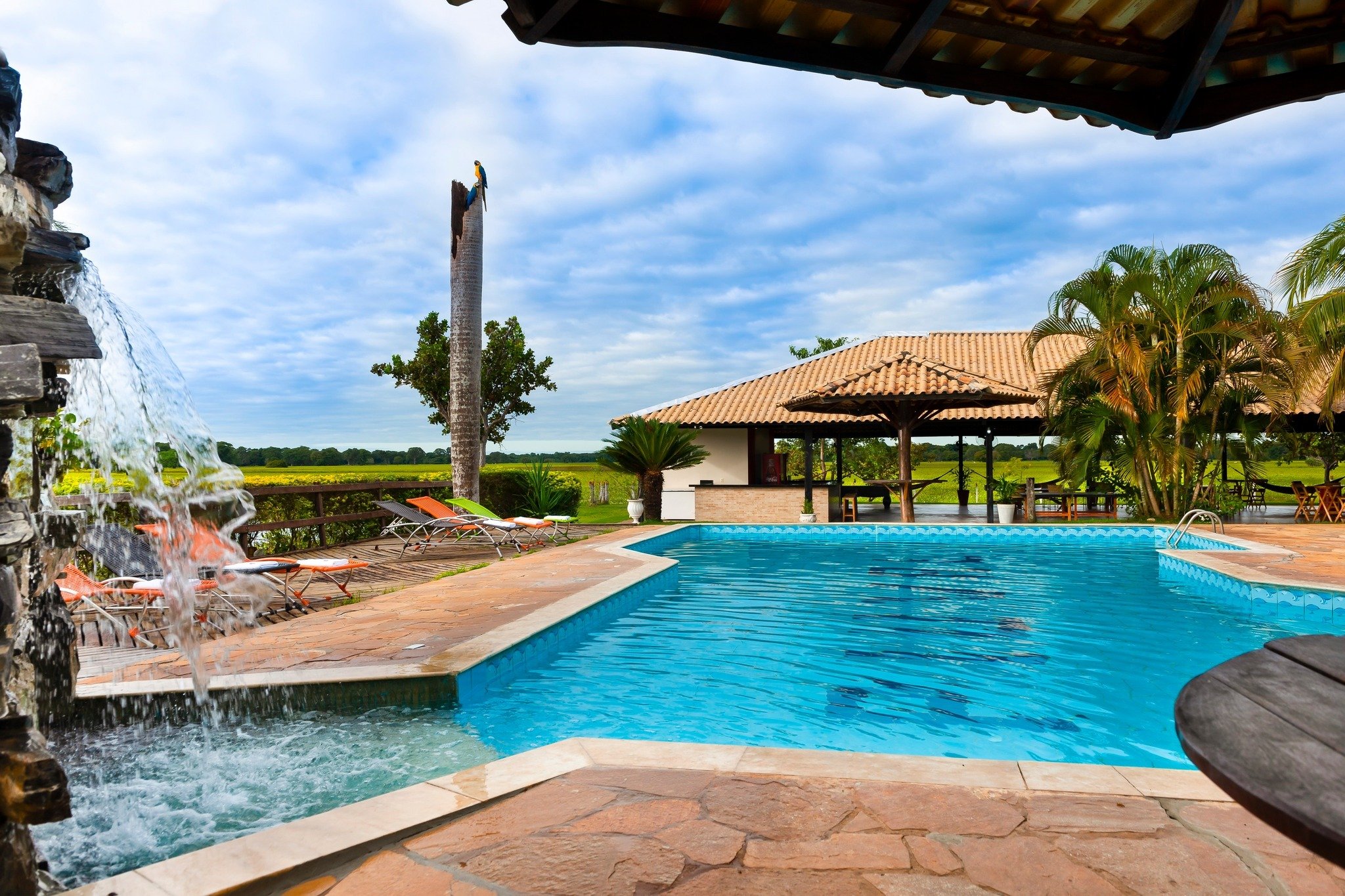 Blue skies, a cascading pool, and a macaw keeping watch — comfort doesn't have to break the budget. Outdoor swimming pool with a waterfall feature at a Pantanal jaguar budget safari lodge, sun loungers on the deck, a blue-and-yellow macaw perched on a tall palm trunk, and open wetland views stretching to the horizon