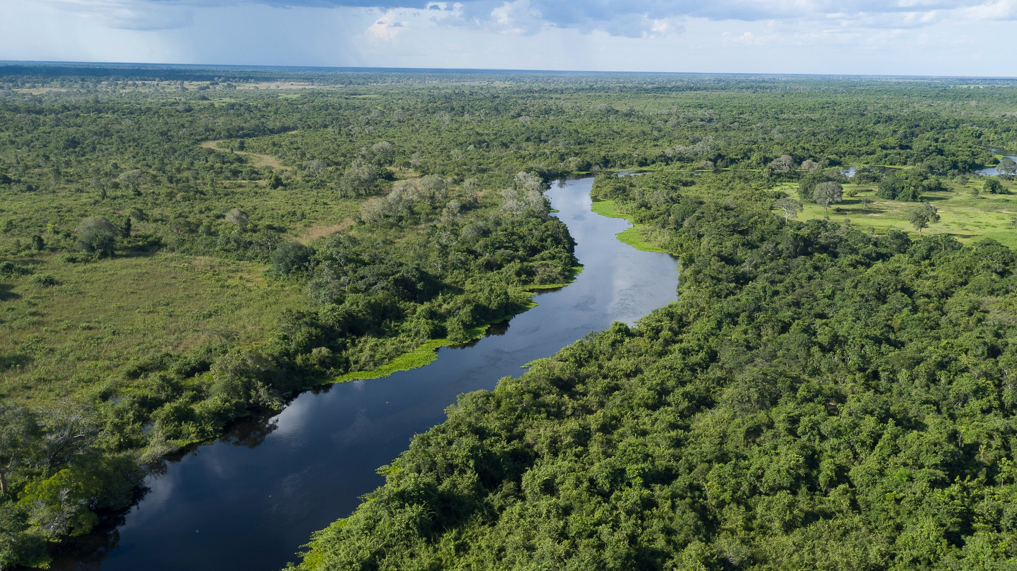 Endless green, one river, infinite wild. Aerial view of a dark, mirror-still river winding through dense tropical gallery forest on a pantanal jaguar budget safari route, with open floodplains stretching to the horizon under a stormy sky