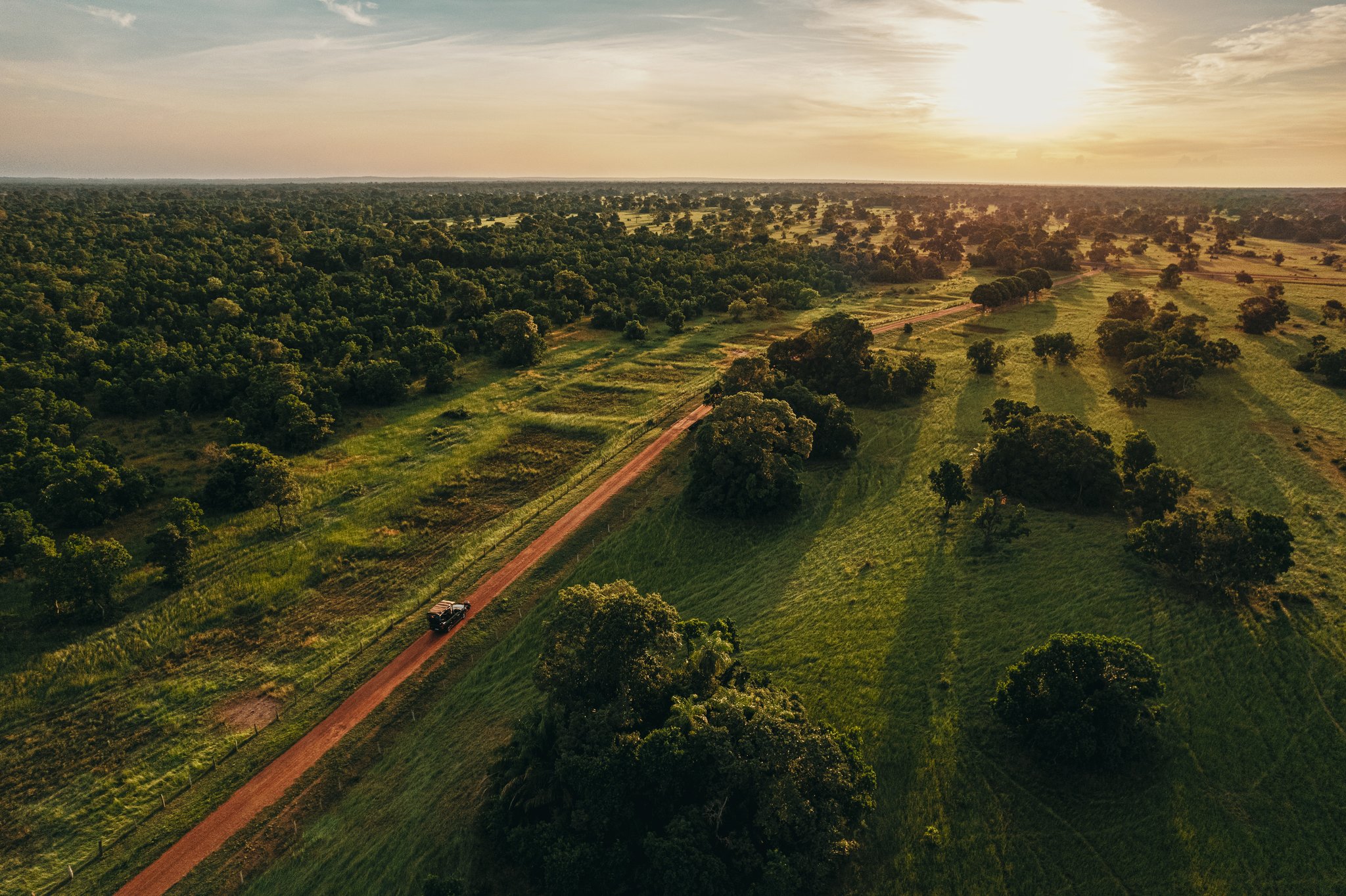 Aerial view of a safari vehicle travelling along a red dirt road through lush Pantanal wetland woodland at golden sunset, on a pantanal jaguar tour in Brazil