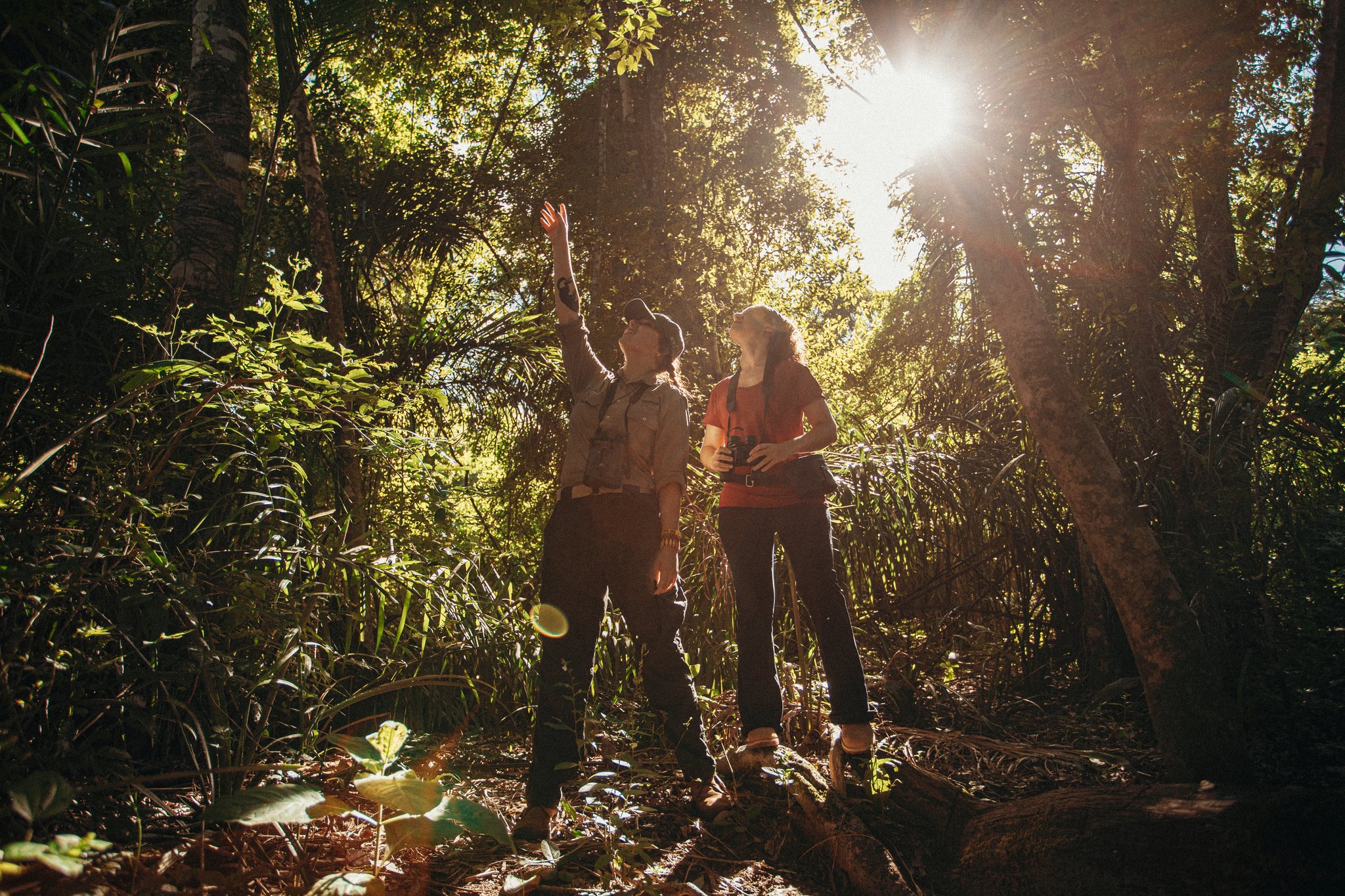 Every rustle overhead tells a story — a guide brings the canopy to life. A guide points upward into the forest canopy while a guest holding binoculars looks up during a pantanal luxury safari guided walking trail