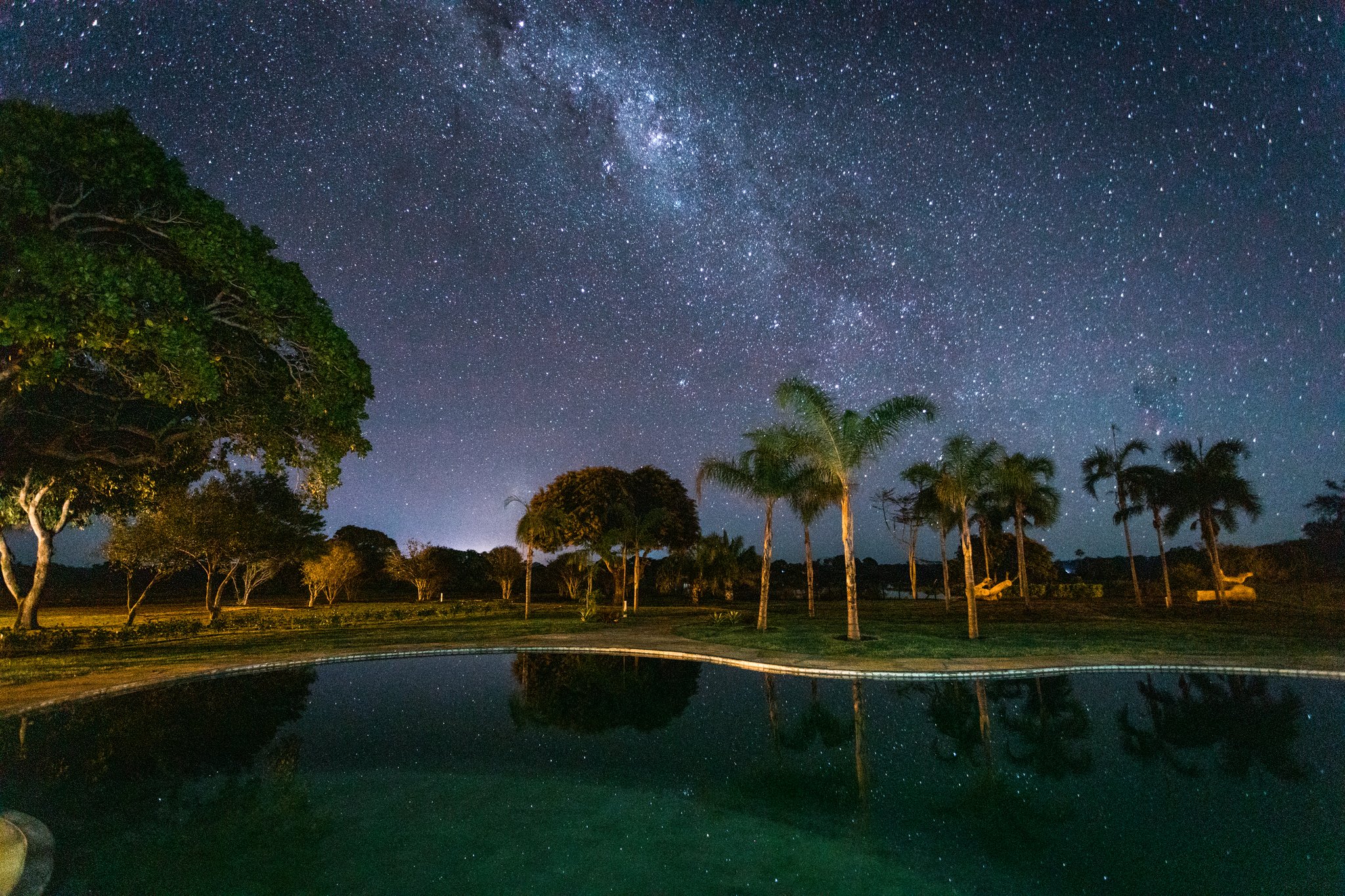 Thousands of stars overhead, their reflections trembling in the pool below. The Milky Way arching over a freeform outdoor pool at a pantanal luxury safari lodge, with palm trees and tropical trees lit by warm ground lights reflected in the still water