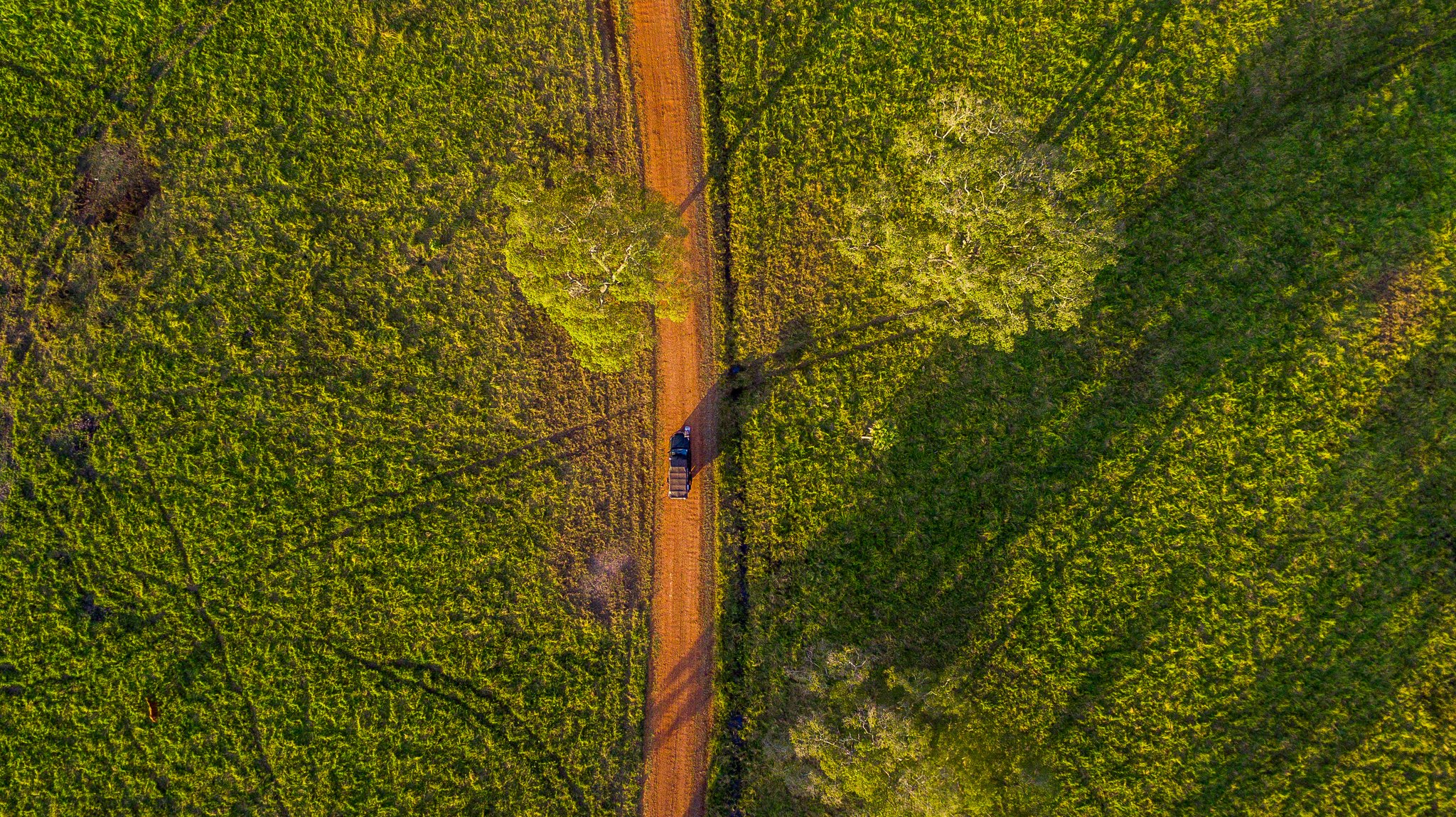 Red earth, endless green — the road into the wild stretches on. Aerial top-down view of a vehicle travelling along a narrow red dirt road cutting through dense green savanna vegetation on a pantanal luxury safari