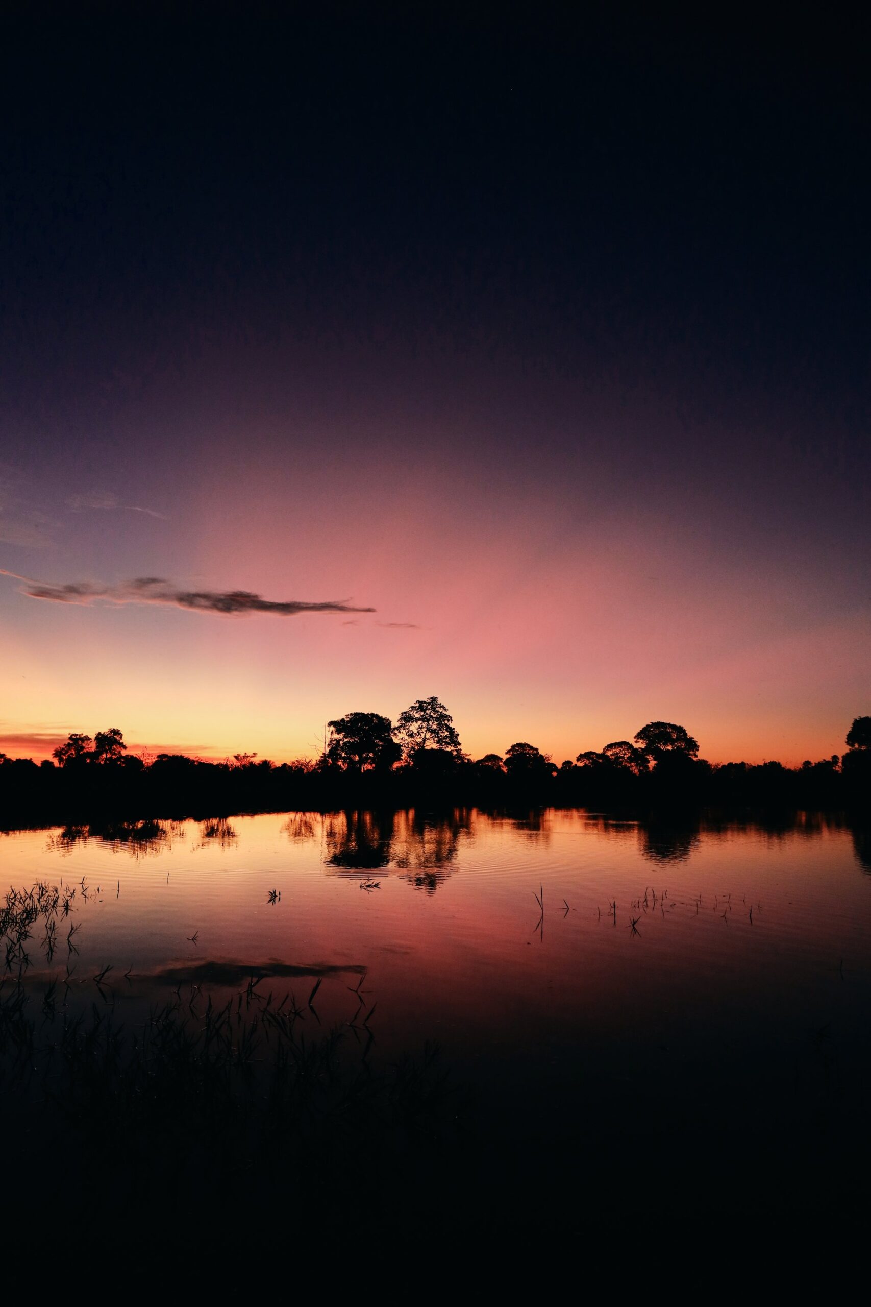 Deep violet bleeds into amber — the wetlands hold it all in perfect stillness. Photo: thiagolbrito Vivid orange and violet sunset sky reflected in a still wetland, with silhouetted trees lining the horizon on a pantanal luxury safari