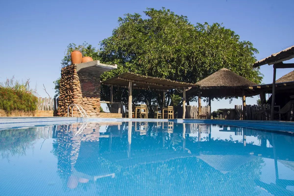 A calm outdoor swimming pool at a Pantanal tour from Campo Grande ecolodge, framed by a stone-column feature, thatched-roof shaded dining area, and a large tree under a clear blue sky