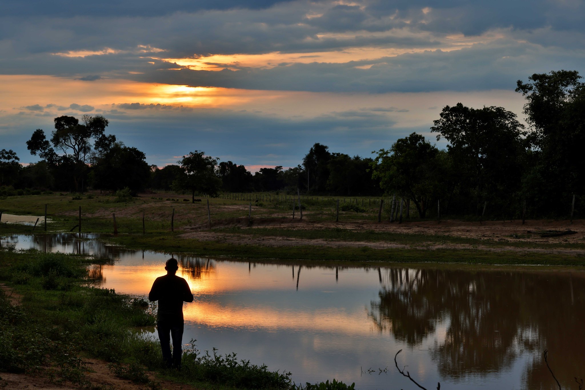 A silhouetted figure stands at the edge of a still pond reflecting a vivid orange sunset sky, surrounded by trees and open wetland on a pantanal tour from campo grande