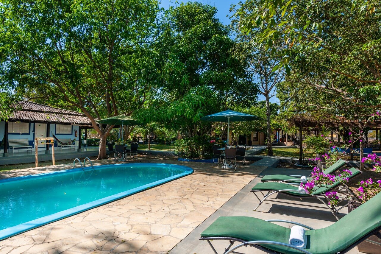 Shaded outdoor swimming pool with sun loungers and bougainvillea at a Pantanal Tour from Cuiabá lodge in Poconé