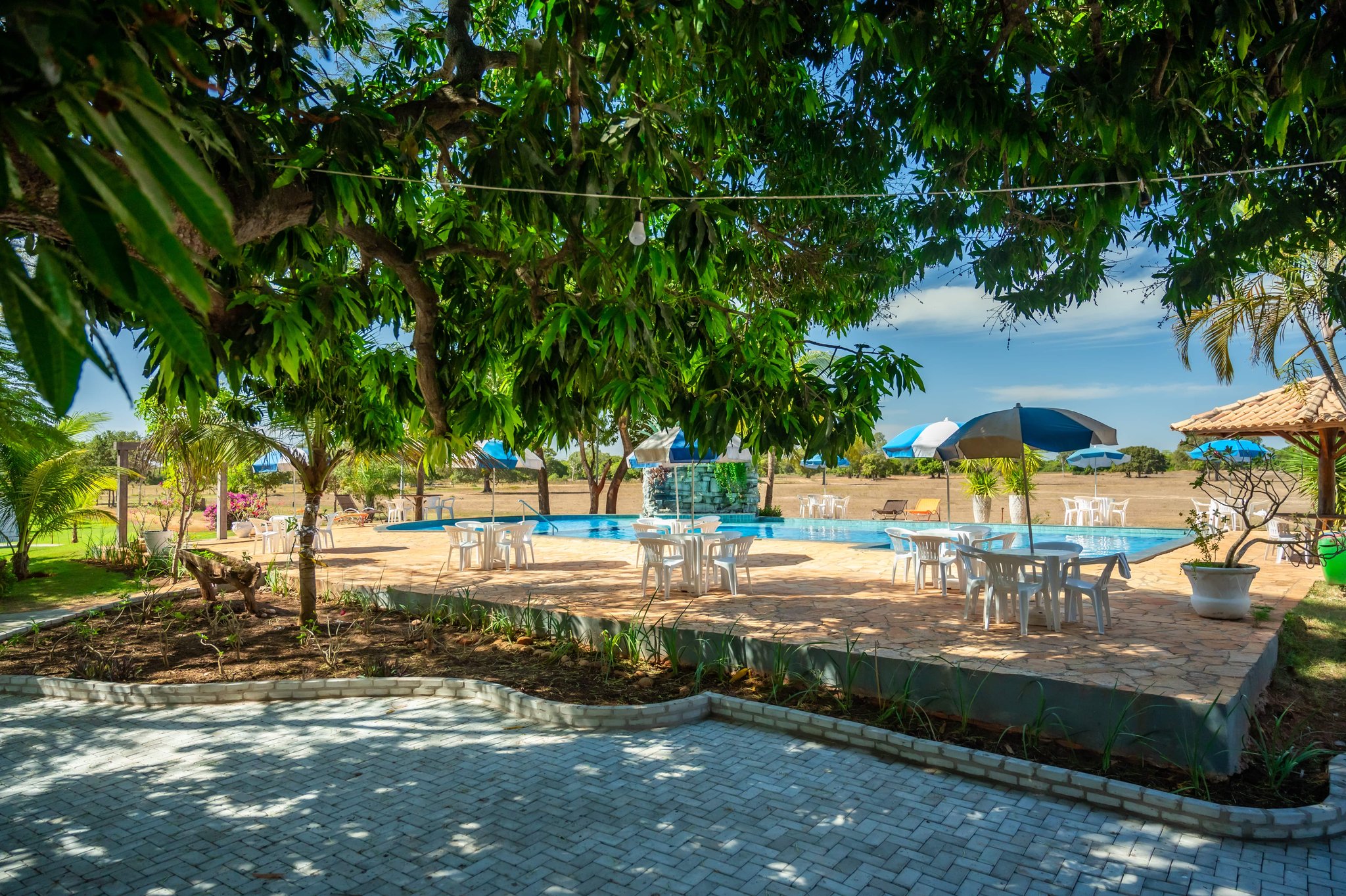 Shaded pool terrace with white patio furniture and colourful umbrellas at a Pantanal Tour from Cuiabá lodge, surrounded by leafy trees and open savanna beyond