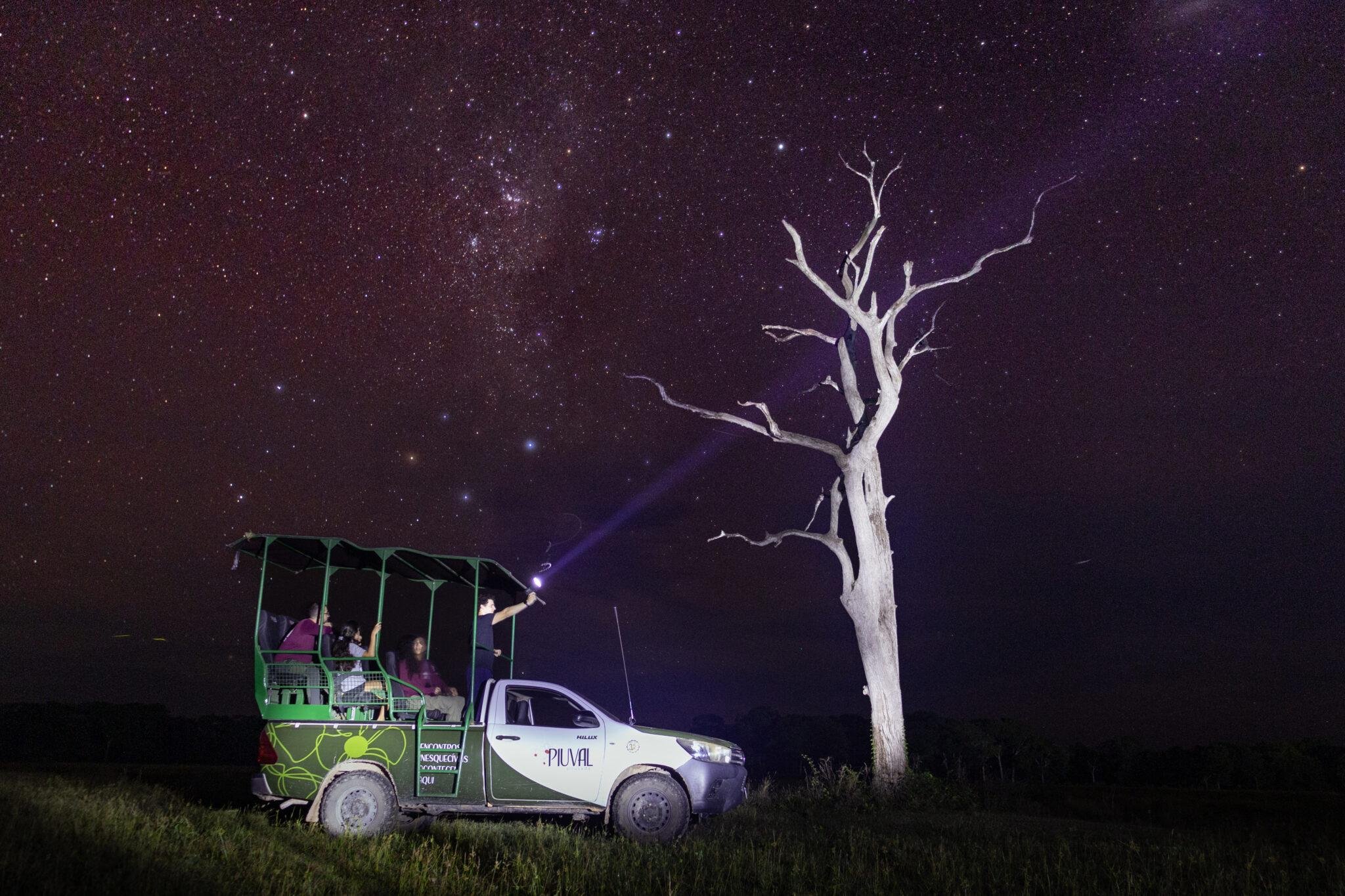 A group of ecotourists aboard an open 4x4 safari vehicle on a Pantanal Tour from Cuiabá, with a guide pointing a spotlight beam toward a bare white tree under a brilliant Milky Way sky