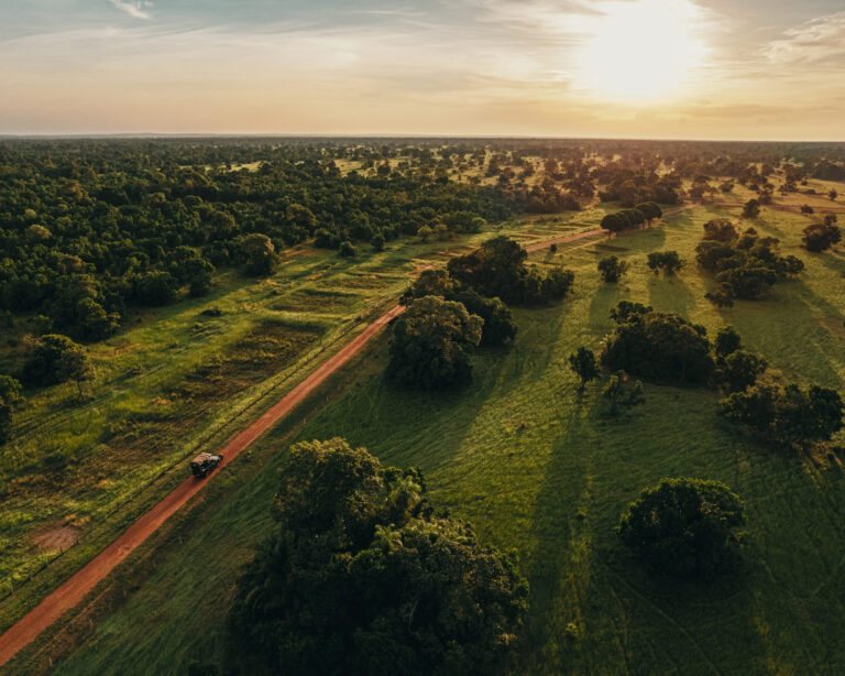 Comment Aller au Pantanal au Brésil Comment Aller au Pantanal au Brésil