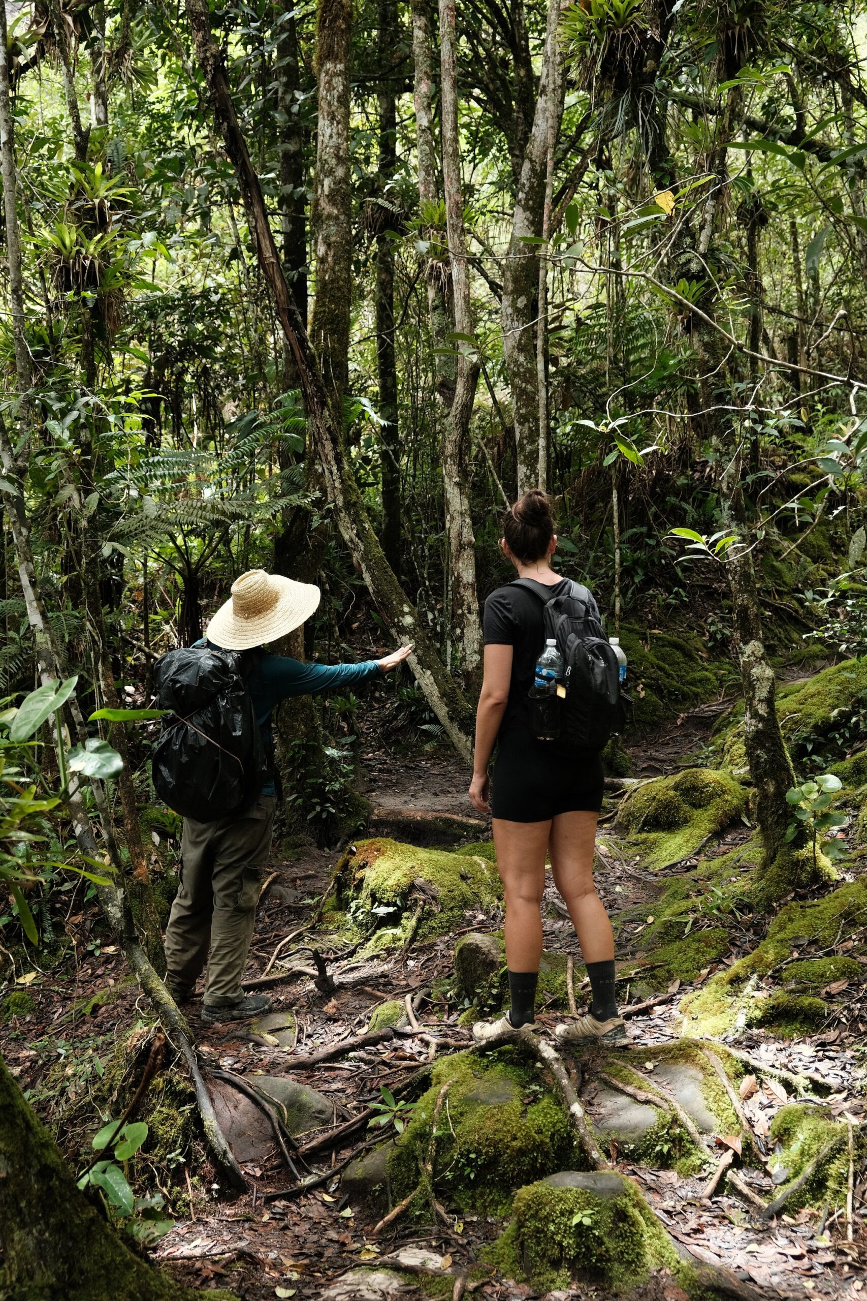 Your guide reads the forest so you can simply take it all in. Photo: A guide in a straw hat points ahead along a mossy, root-laced trail during a Pati Valley hike, while a traveller with a backpack looks into the dense green forest