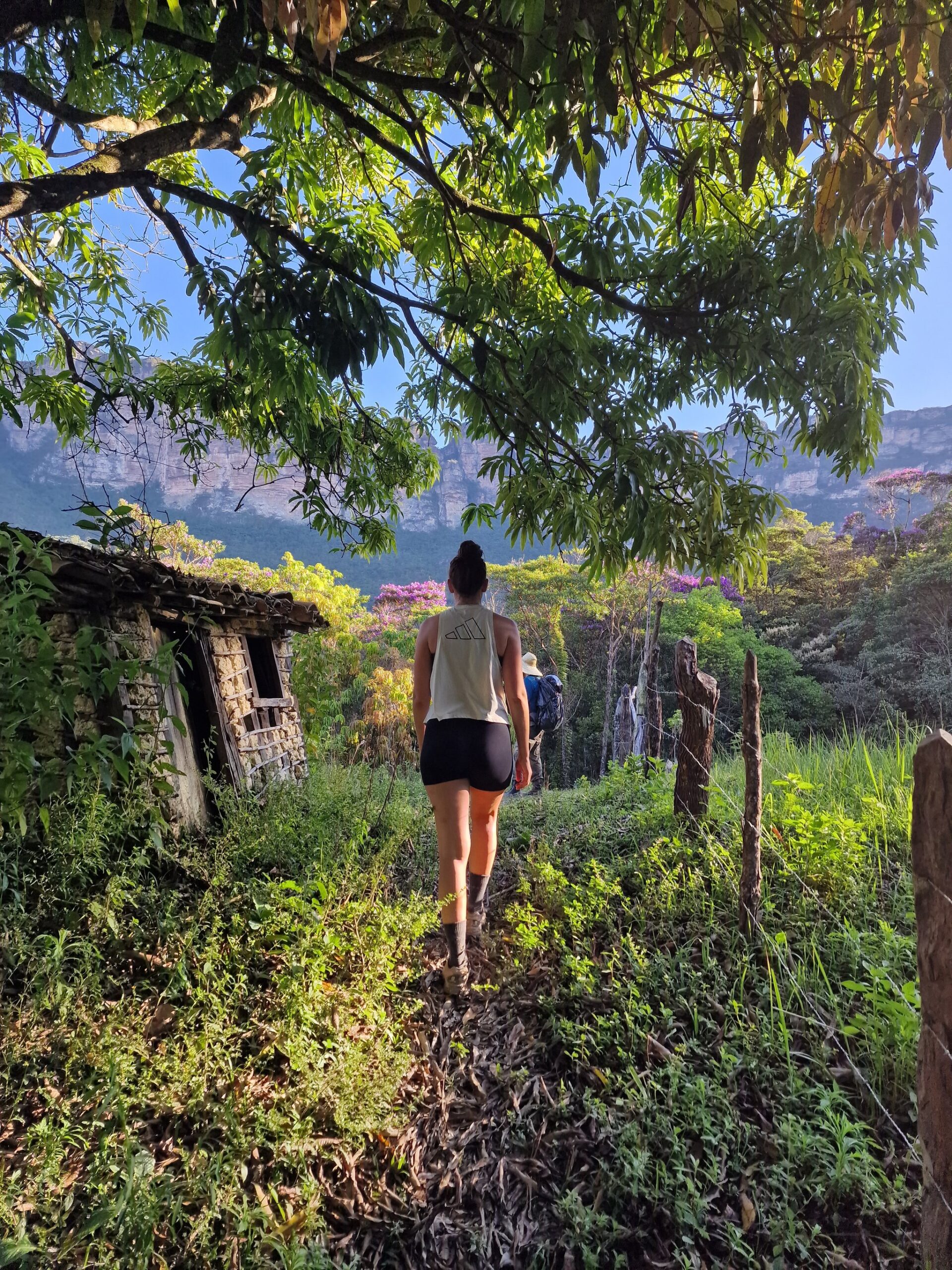 Old walls, open sky, and the valley pulling you forward. Photo: Rasmus Soeby A hiker walks past a crumbling stone ruin on the Pati Valley hike, with pink-flowering trees and dramatic sandstone cliffs rising through the green canopy ahead