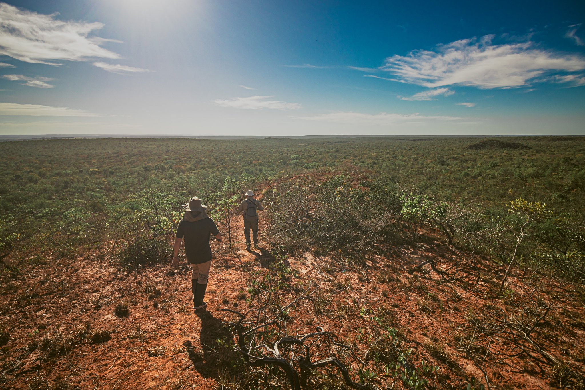 Two hikers in wide-brimmed hats walk a narrow red-earth trail through low Cerrado scrubland at Pousada Trijunção, with an endless savanna horizon under a bright blue sky