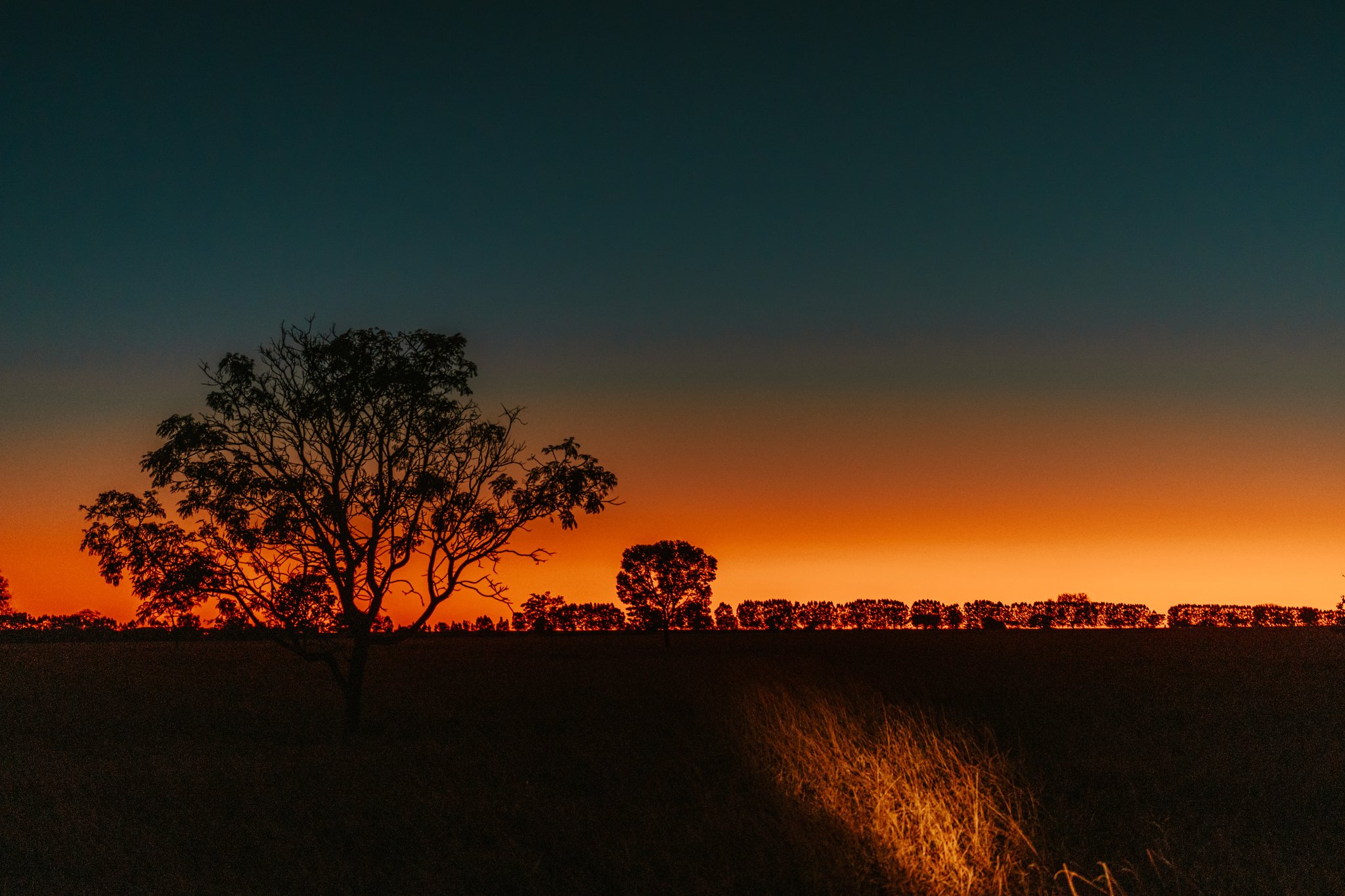 A lone gum tree silhouetted against a blazing orange and teal sunset sky over the flat Cerrado savanna at Pousada Trijunção