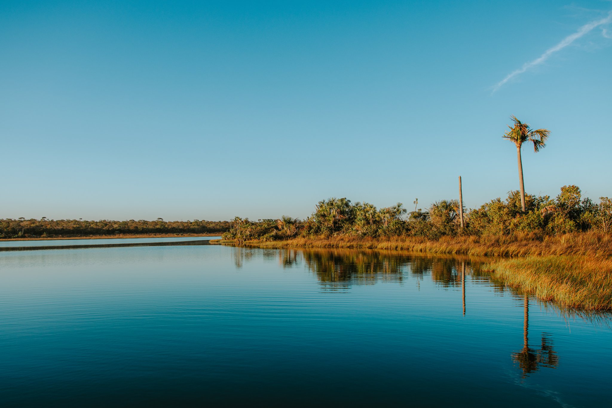 Mirror-calm waters and warm golden light at the edge of the Cerrado. Photo: Albori Ribeiro Still waters of Lagoa das Araras at Pousada Trijunção reflecting a tall palm tree and golden marsh grasses under a clear blue sky