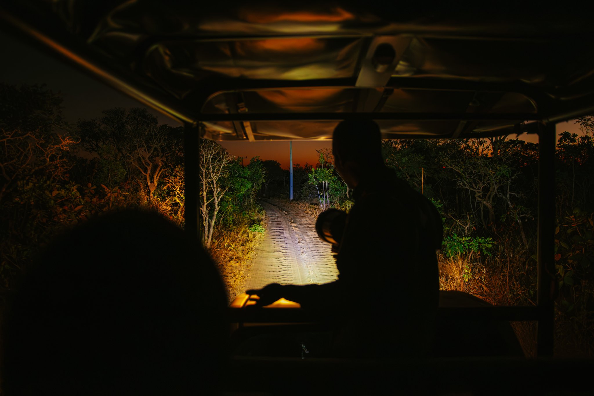 Into the dark — the Cerrado night safari begins. Photo: Albori Ribeiro View from inside an open safari vehicle at Pousada Trijunção, headlights illuminating a sandy dirt track cutting through dense Cerrado bush under a deep orange twilight sky