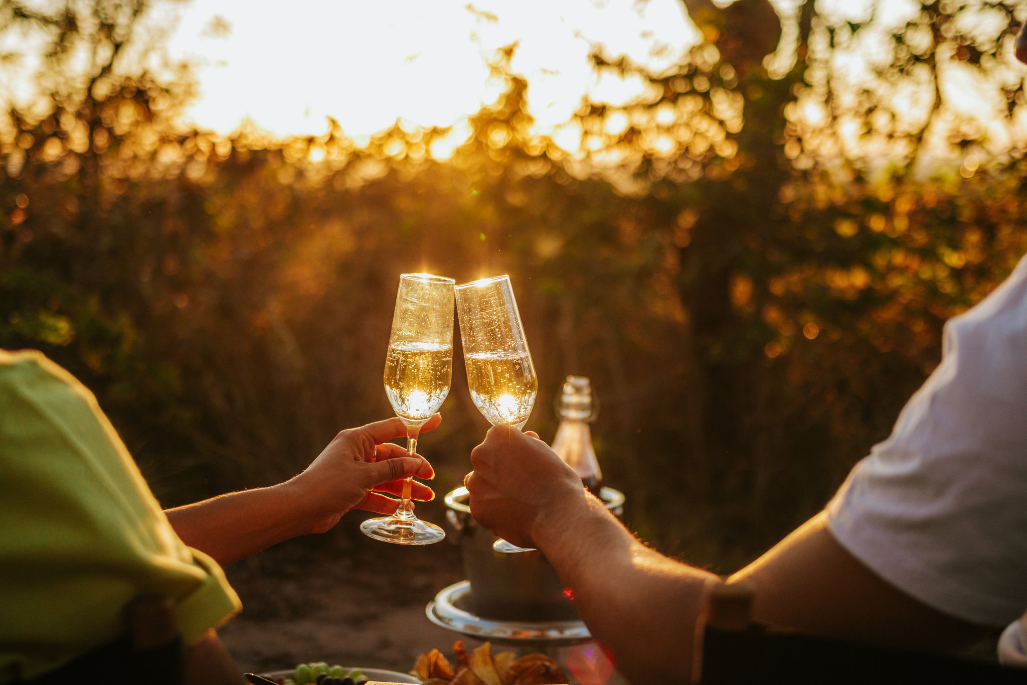 Golden hour never tasted so good. Photo: Albori Ribeiro Two guests clinking champagne flutes at Pousada Trijunção during a golden Cerrado sunset, with a chilled bottle in the background