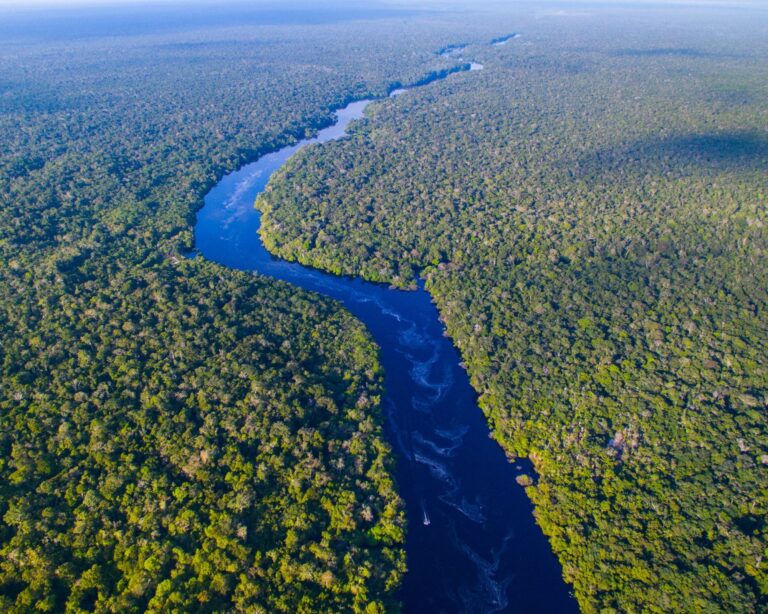 The Amazon River, Brazil: A Guide to the World’s Greatest River