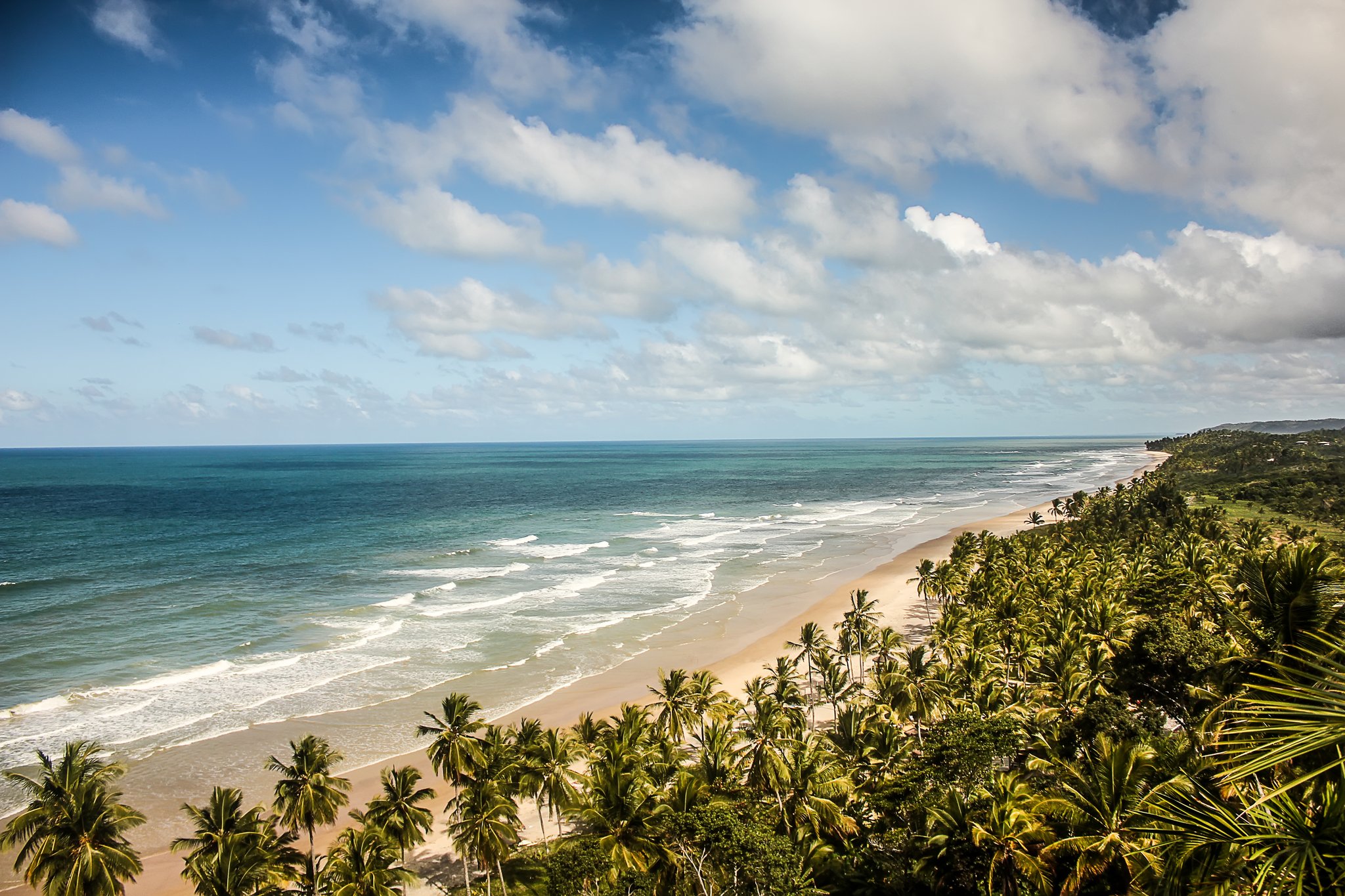 Aerial view of a sweeping sandy beach lined with coconut palms and turquoise Atlantic waves in Itacaré, Bahia — the backdrop for surf lessons in Itacaré