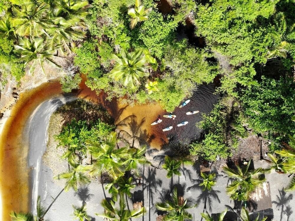 Where the jungle meets the sea — Itacaré's wild river mouth, just steps from world-class waves. Aerial drone view of paddlers on a tannin-dark river winding through lush Atlantic Forest palms to a white-sand beach in Itacaré, Bahia, near the surf breaks used during surf lessons in Itacaré