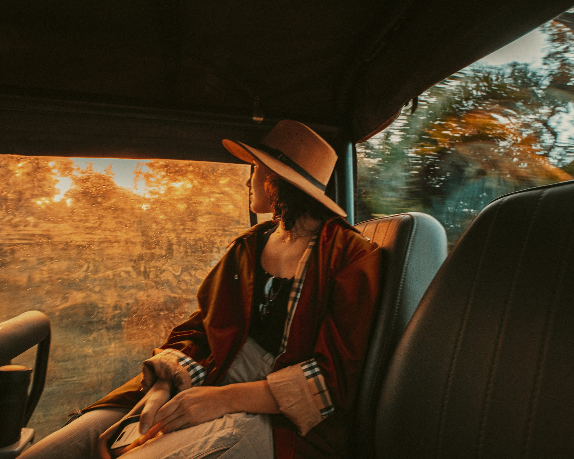 10 Pantanal Travel Tips for an Unforgettable Trip