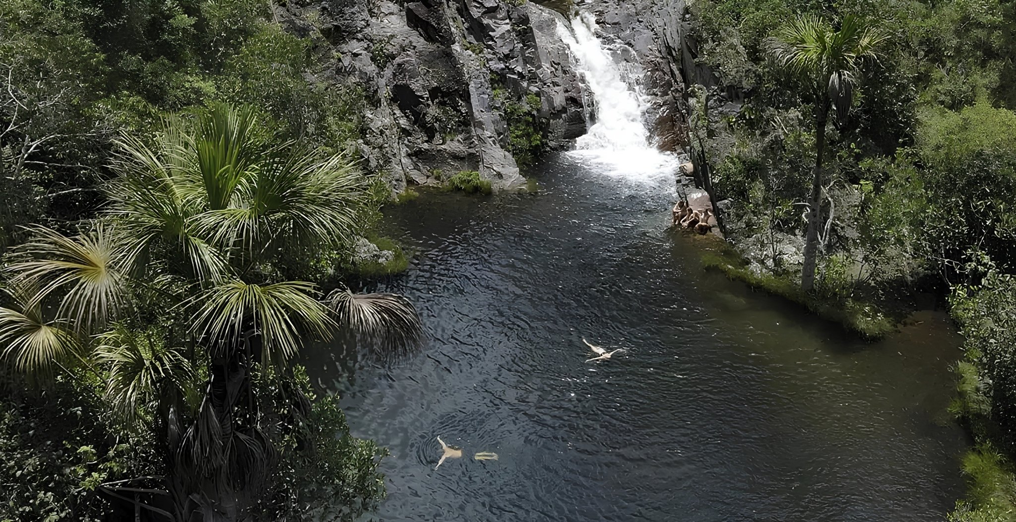 Aerial view of swimmers in a dark natural pool fed by a waterfall cascading down rocky cliffs, surrounded by Cerrado palm trees and dense forest during a trekking Chapada dos Veadeiros adventure