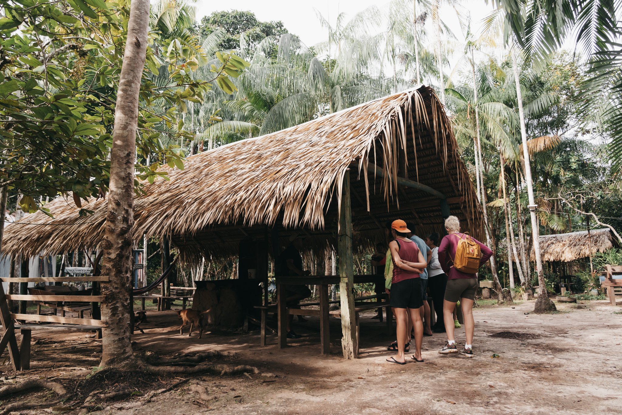 Small group of ecotourists gathered at the entrance of a traditional palm-thatched open hut surrounded by tall palms and tropical forest, during an untamed amazon cruise community visit