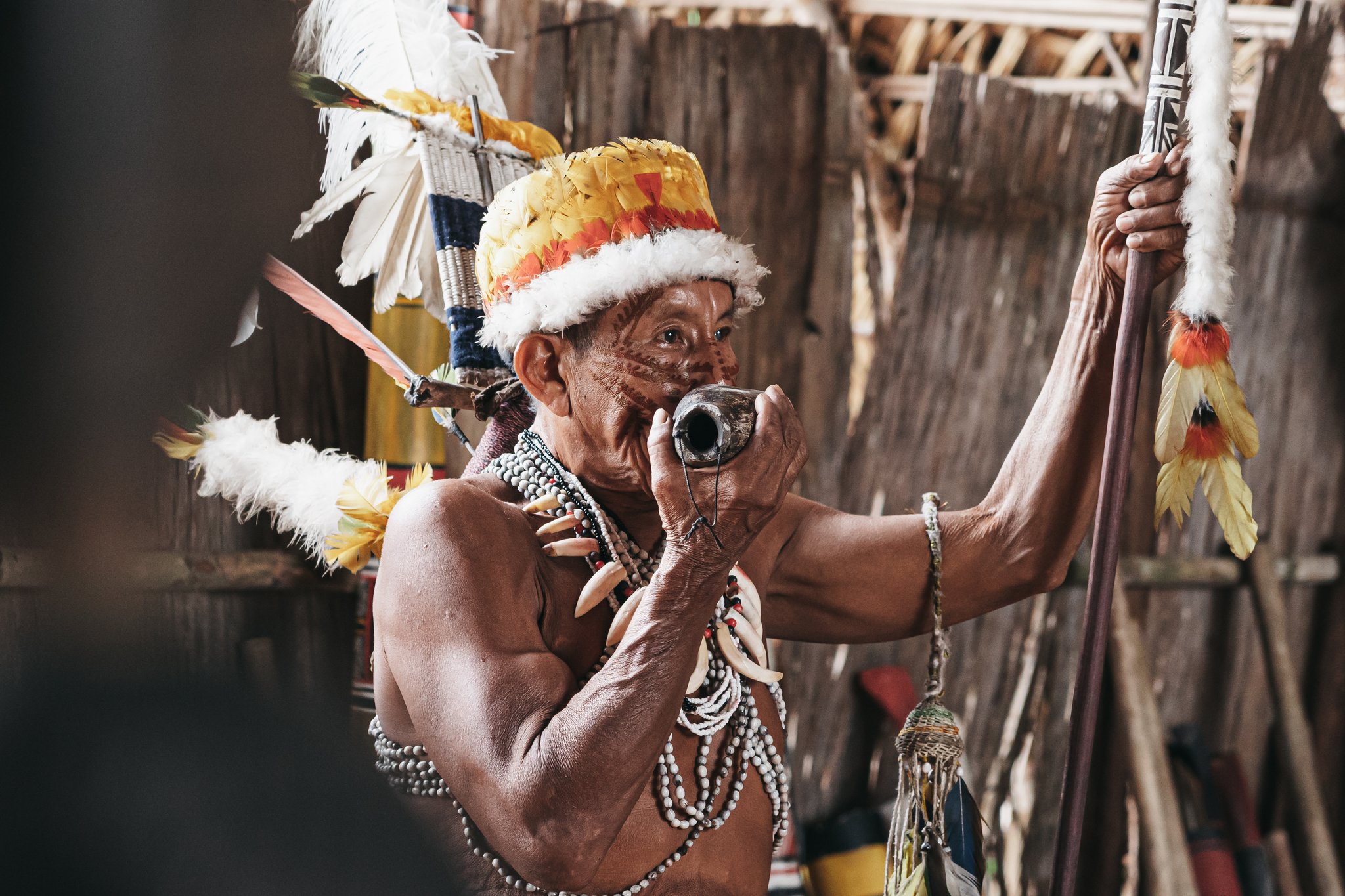 An elder from an indigenous community blows into a small gourd instrument during an untamed amazon cruise cultural visit, wearing a feathered headdress, traditional necklaces of beads and teeth, and holding a painted ceremonial staff inside a thatched longhouse