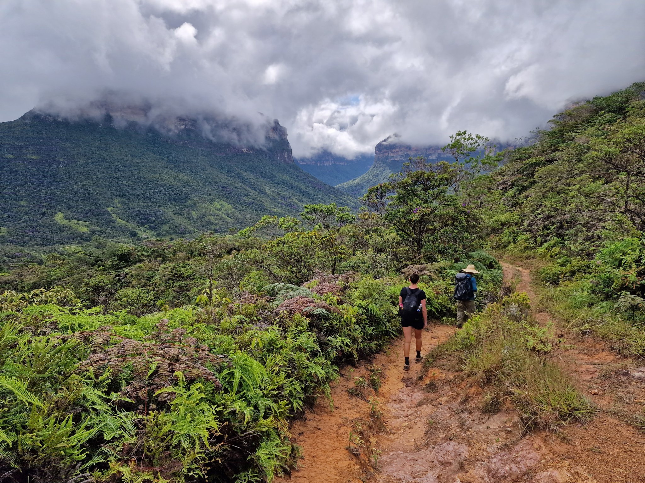 Ferns at your feet, cliffs swallowed by cloud — the valley keeps pulling you forward. Photo: Rasmus Soeby Two hikers on a red dirt trail descending a lush ridgeline on the Vale do Pati Trek, with a dramatic cloud-filled valley and flat-topped sandstone cliffs stretching into the distance in Chapada Diamantina