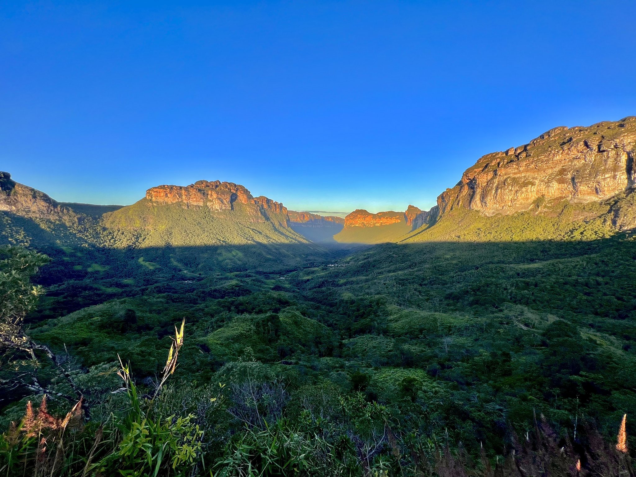 Panoramic view of the Vale do Pati Trek revealing sandstone escarpments glowing amber at sunrise, with a deep green valley stretching between towering cliffs under a cloudless blue sky