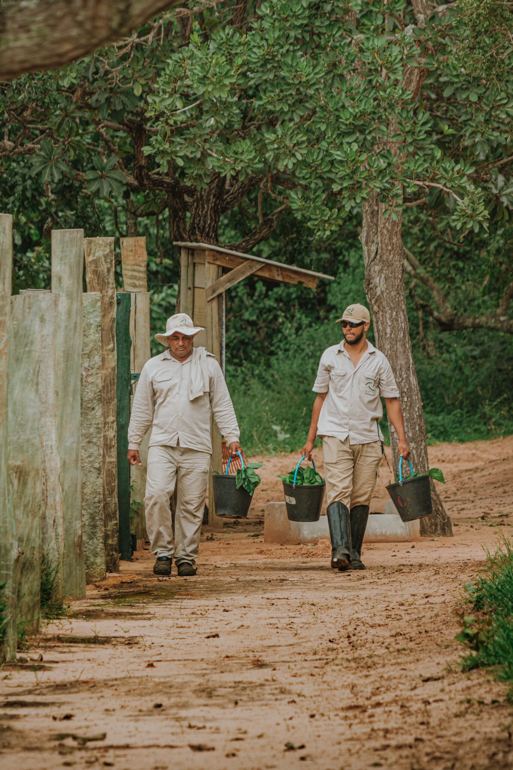 Two uniformed conservation staff carrying buckets of fresh leaves along a sandy path through lush green woodland on a wildlife conservation holiday in Brazil