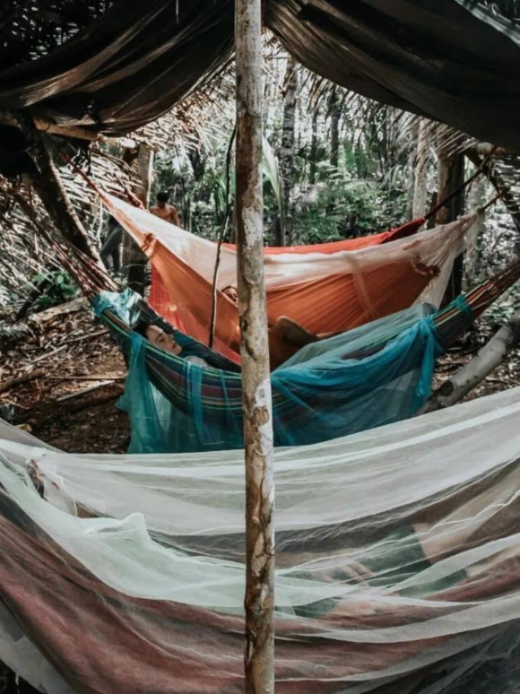 Hammocks with mosquito nets strung between trees at an Amazon jungle survival camp