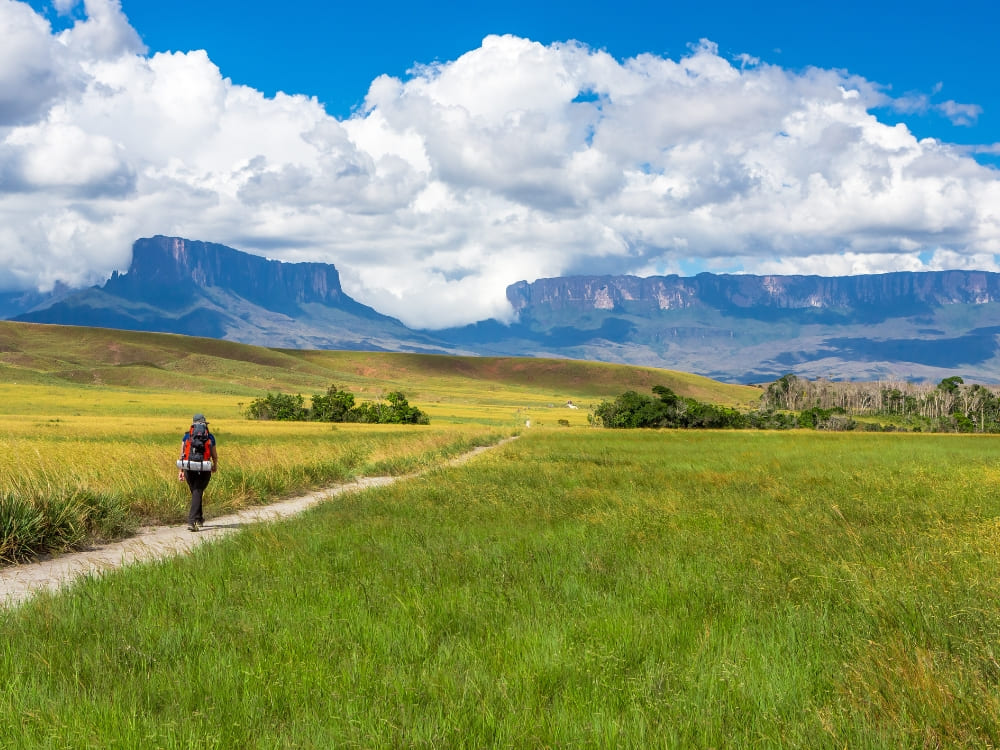 A hiking trail across the Gran Sabana toward Kukenán tepui near Mount Roraima