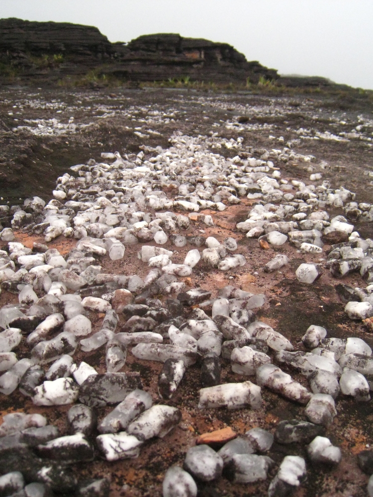 A field of quartz crystals scattered across the summit of Mount Roraima