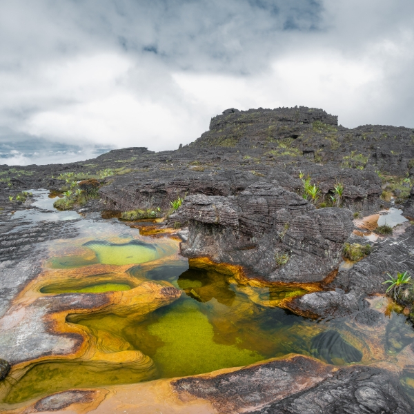 Natural jacuzzi pools on the rocky summit of Mount Roraima