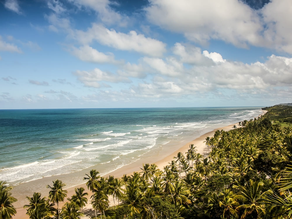 Palmengesäumter Strand und Atlantischer Regenwald an der Südküste von Bahia bei Itacaré, Brasilien.