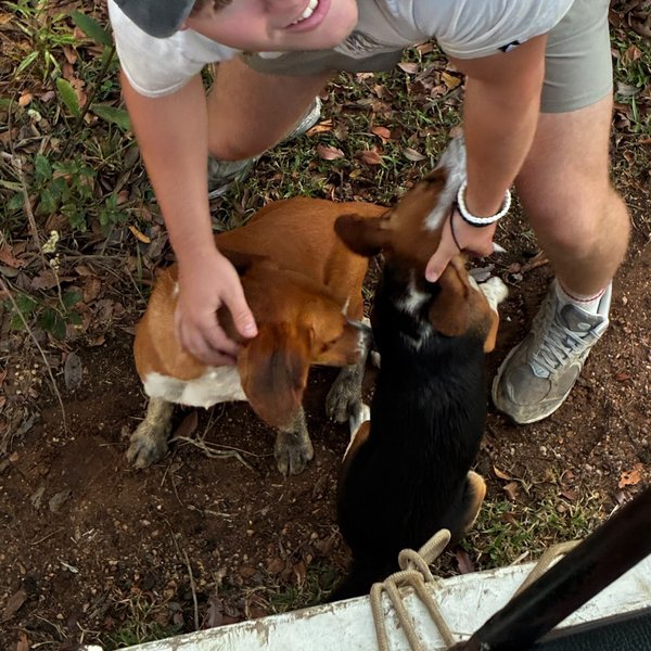 El hijo de Sally acariciando a los perros de la hacienda