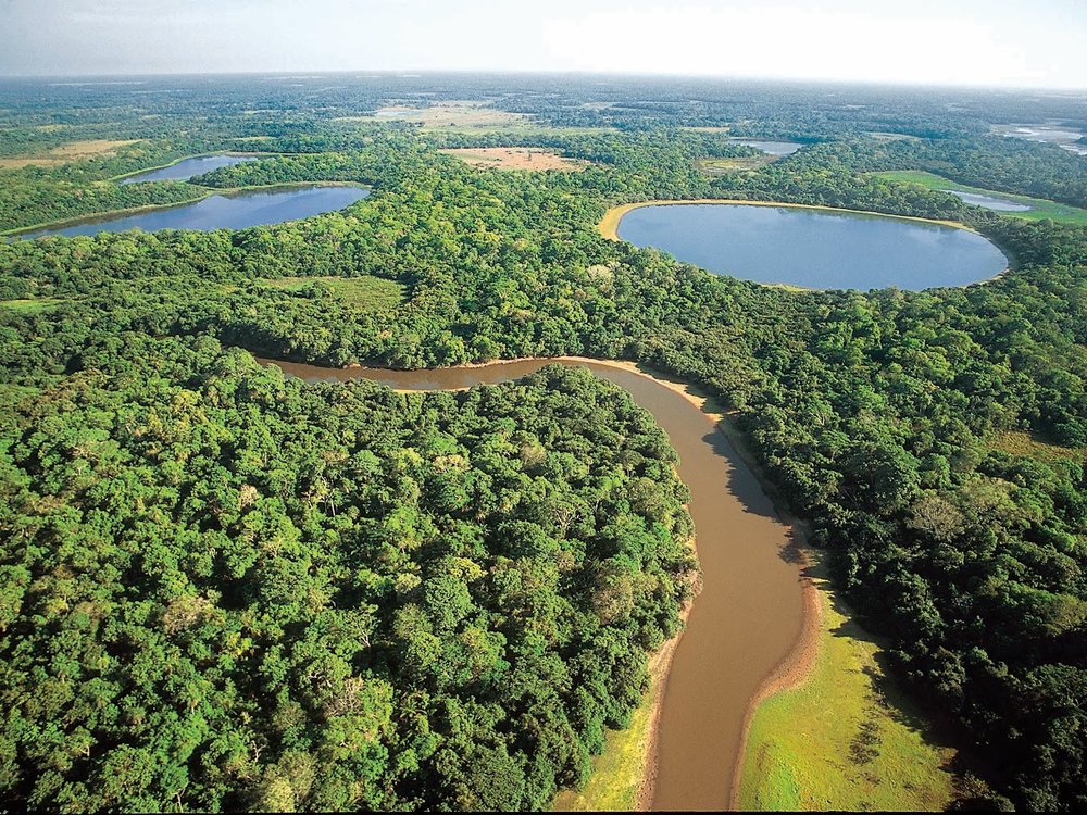 Vista aérea del Pantanal y sus ríos