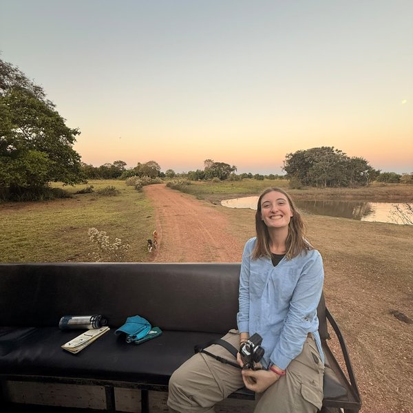 La hija de Sally sentada en el banco de la camioneta de safari al atardecer