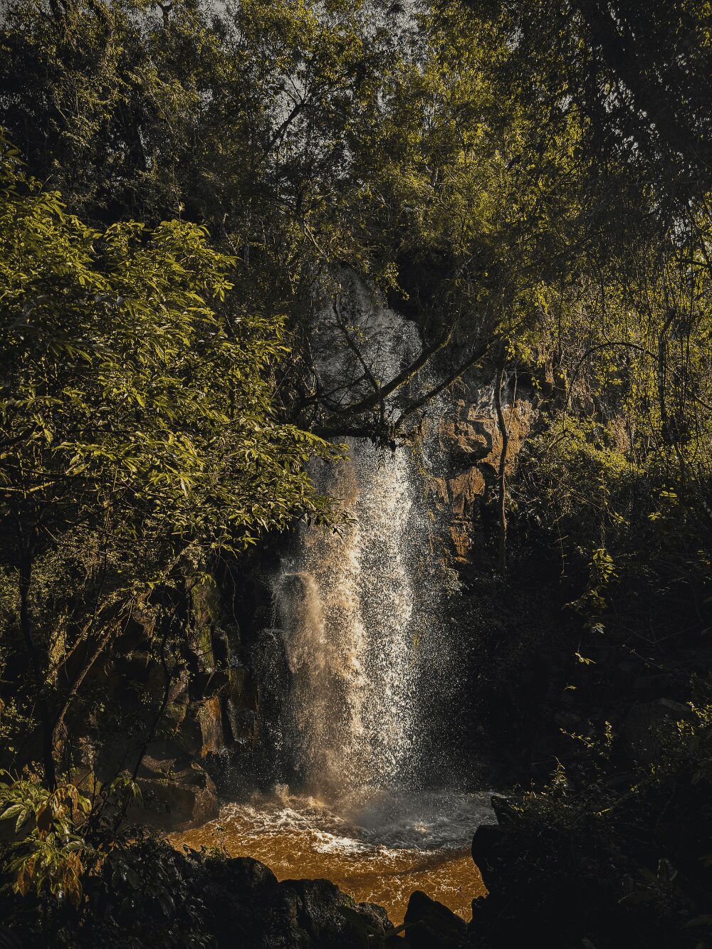 Cascade à moitié cachée par les arbres le long d'un sentier forestier près des chutes d'Iguazu