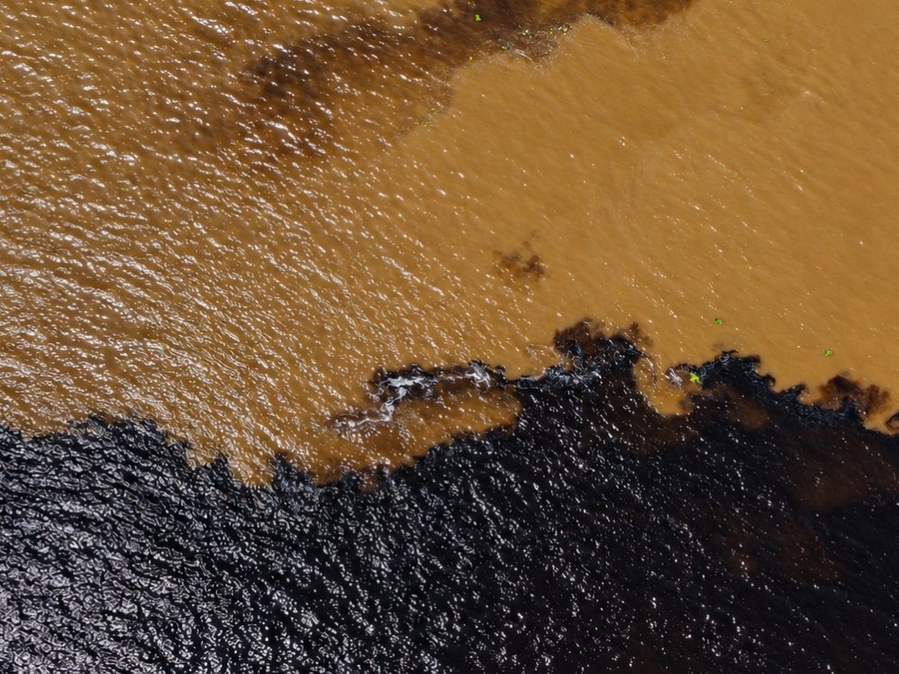 Vue de drone de la frontière nette entre le rio Negro presque noir et le Solimões couleur café au lait, en Amazonie