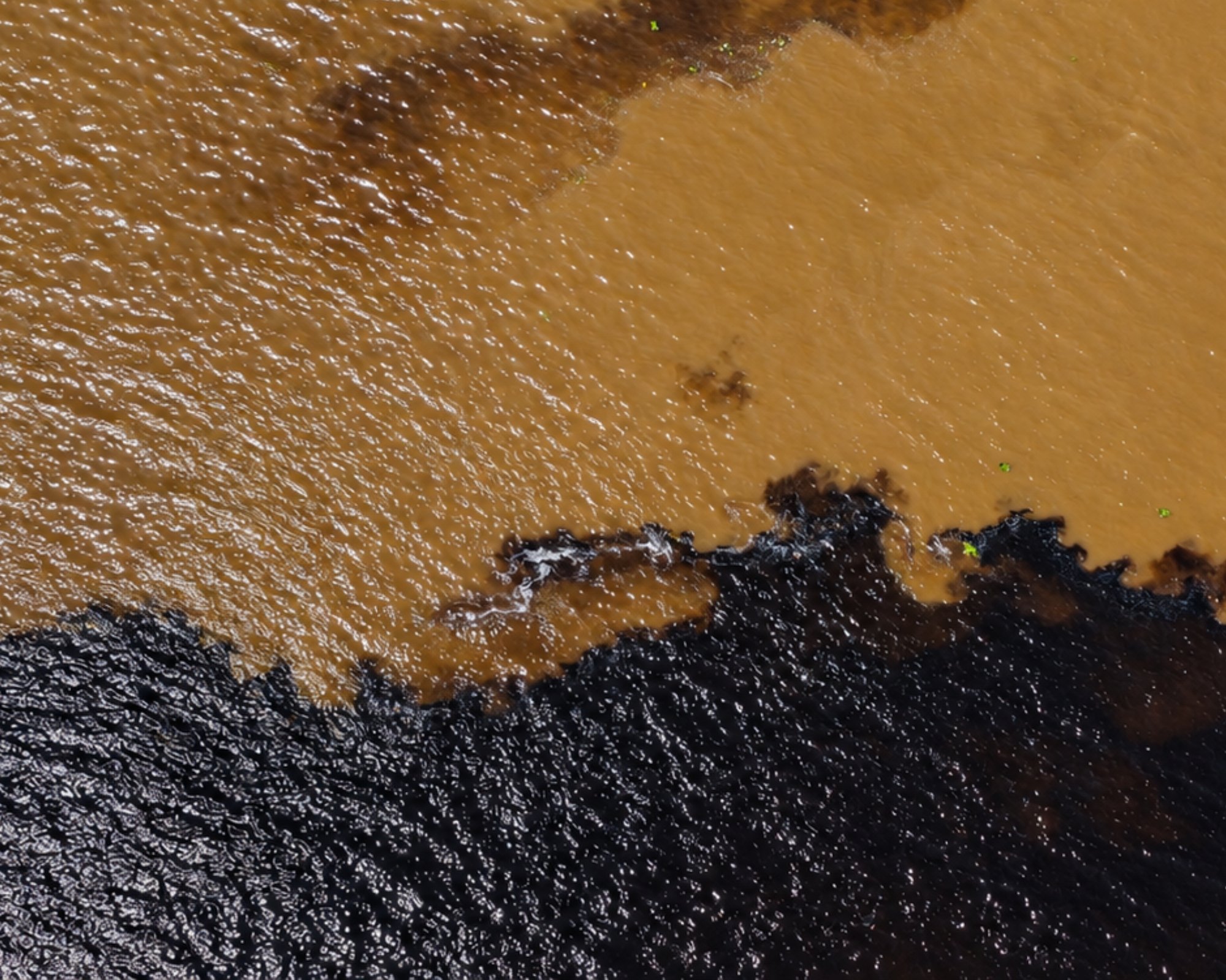 Vue aérienne de la Rencontre des eaux près de Manaus, où le rio Negro sombre rejoint le rio Solimões brun sableux