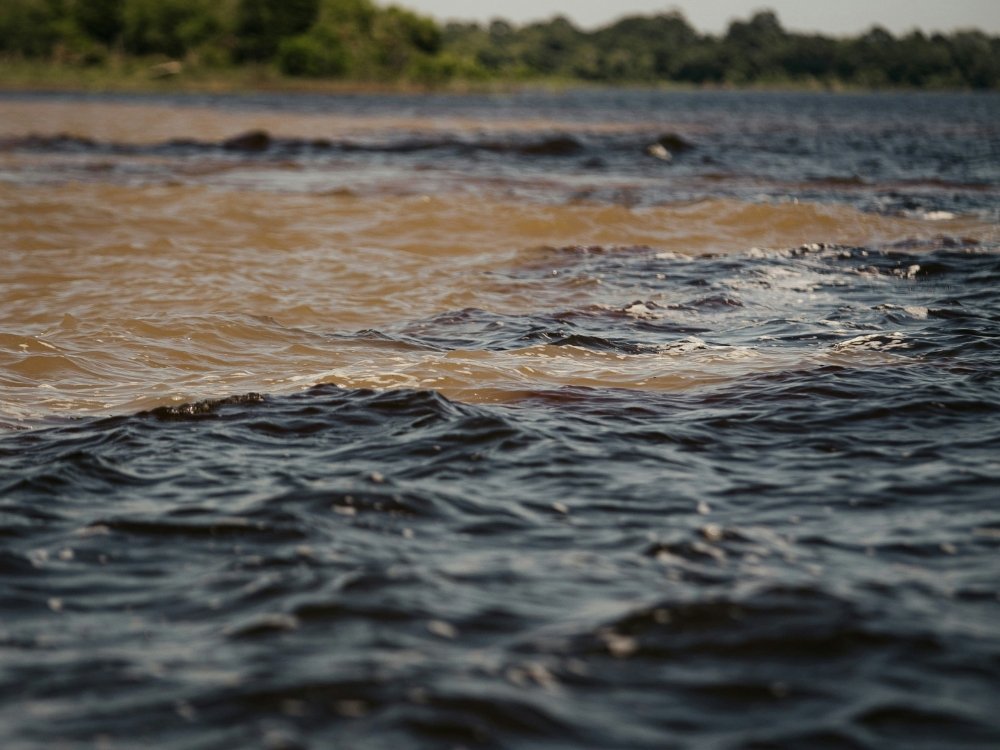 Gros plan sur la Rencontre des eaux : le rio Negro sombre et le rio Solimões brun coulent côte à côte